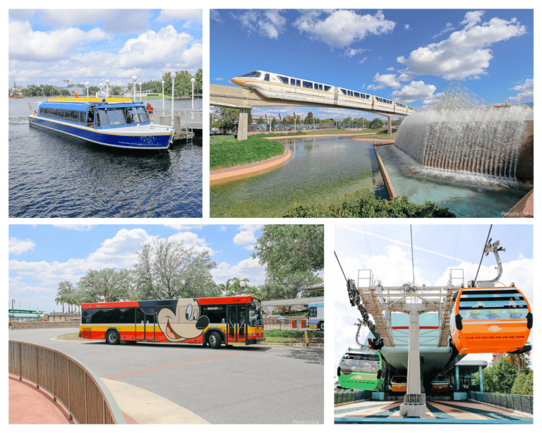 The Best Ways to Get Around Disney World (Between the Parks and Hotels)