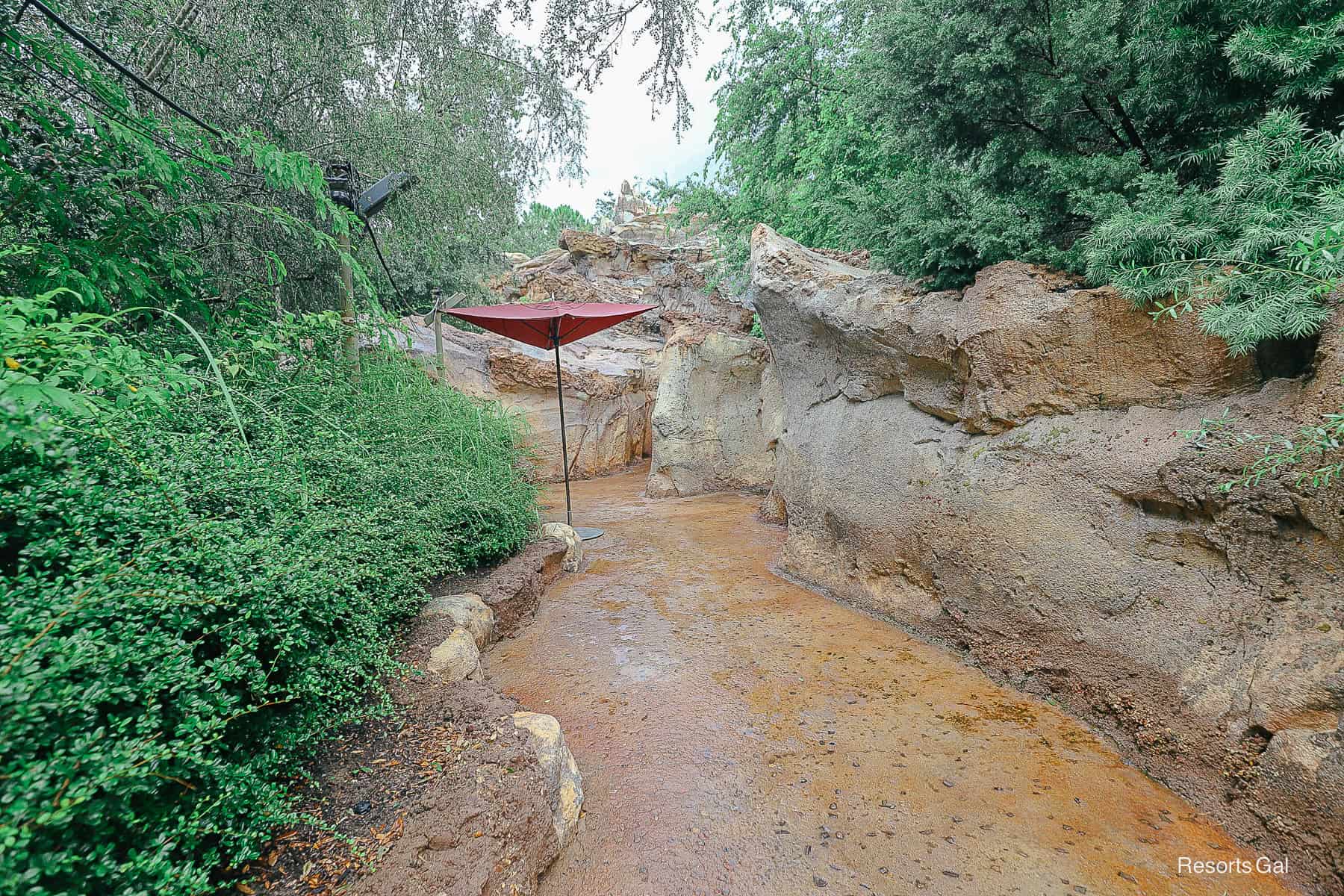 the single rider line extends through a concrete path with rock walls and green trees 