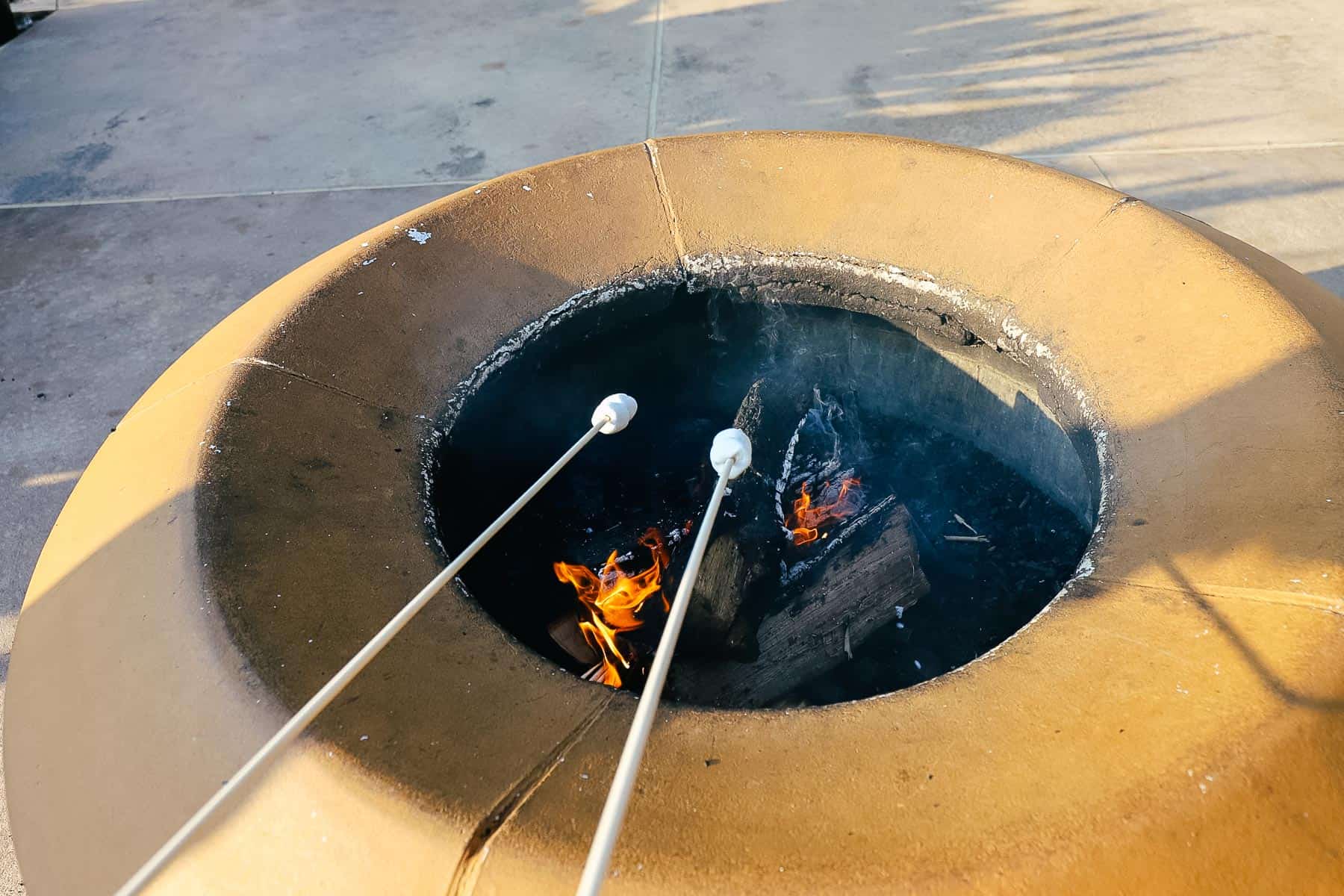 guests roasting marshmallows by a fire near a pool at Disney World 