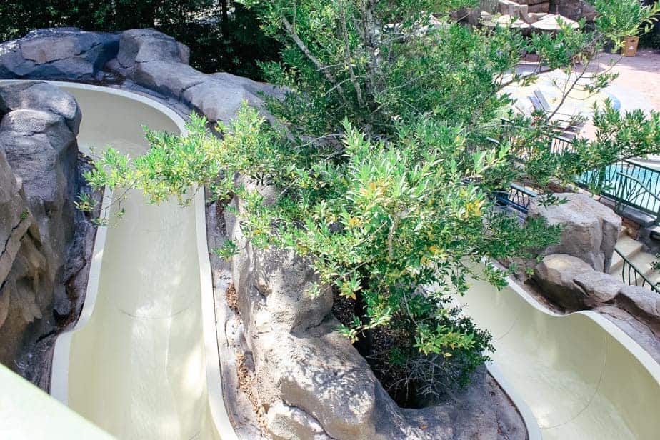 the curvy slide on the way down at the Springs Pool