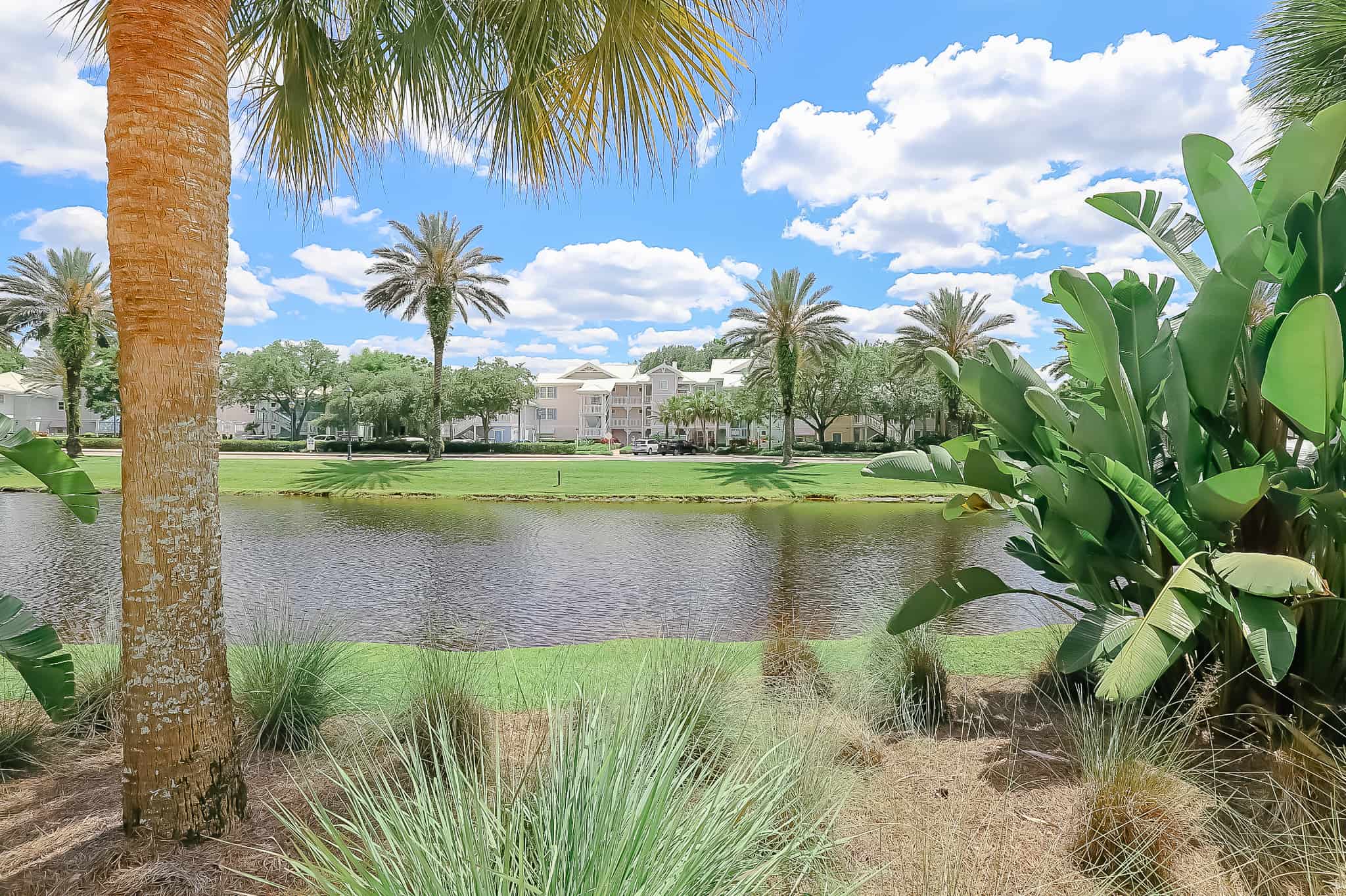 a landscape photo of Old Key west with a lake and palm trees 