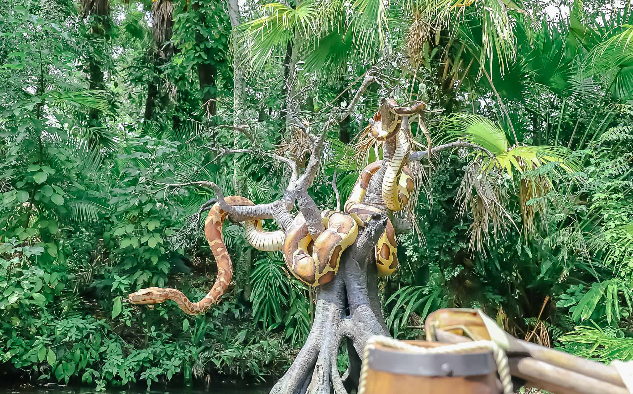 a massive Python snake in the branches of the Jungle Cruise 