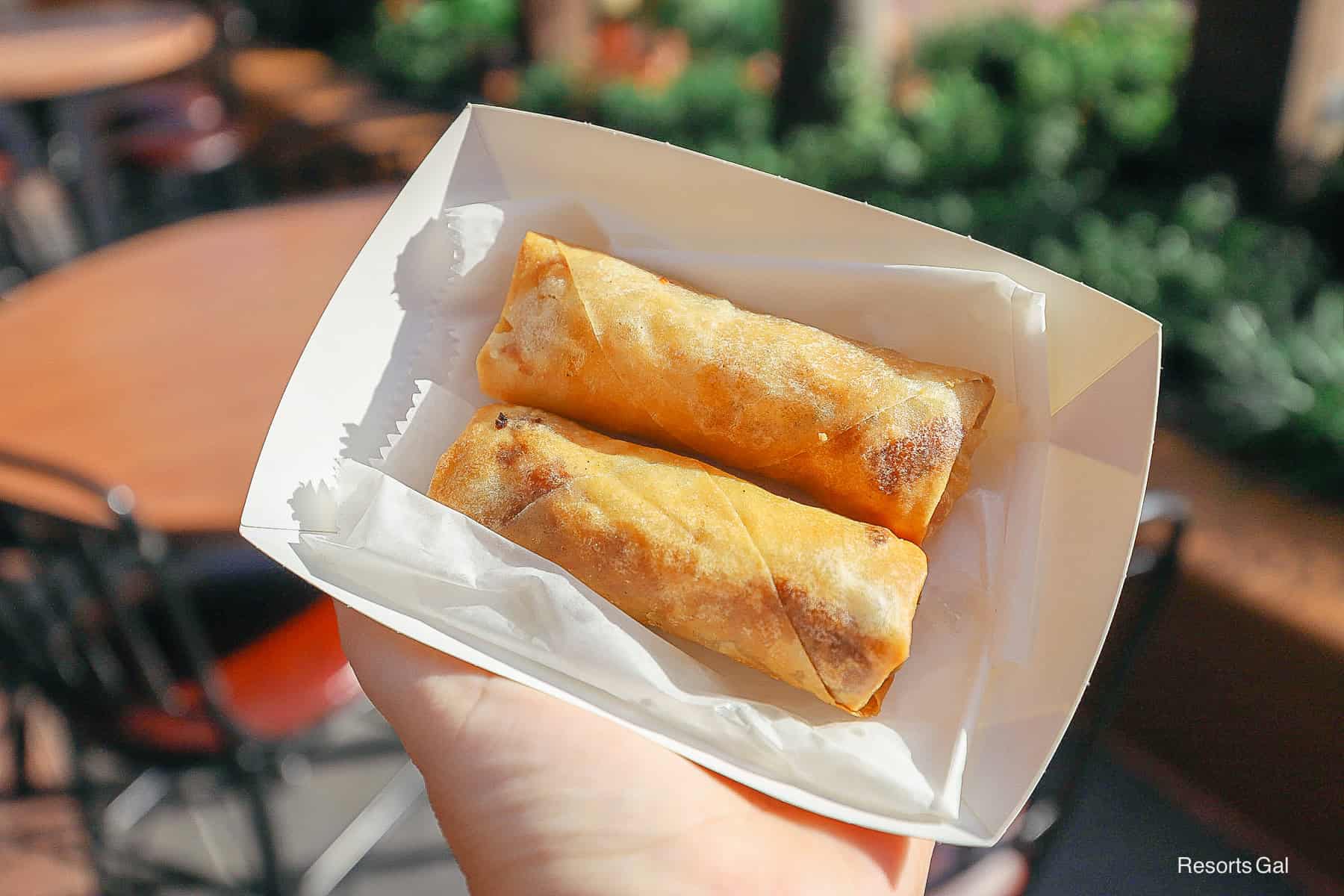 two spring rolls in a small cardboard container
