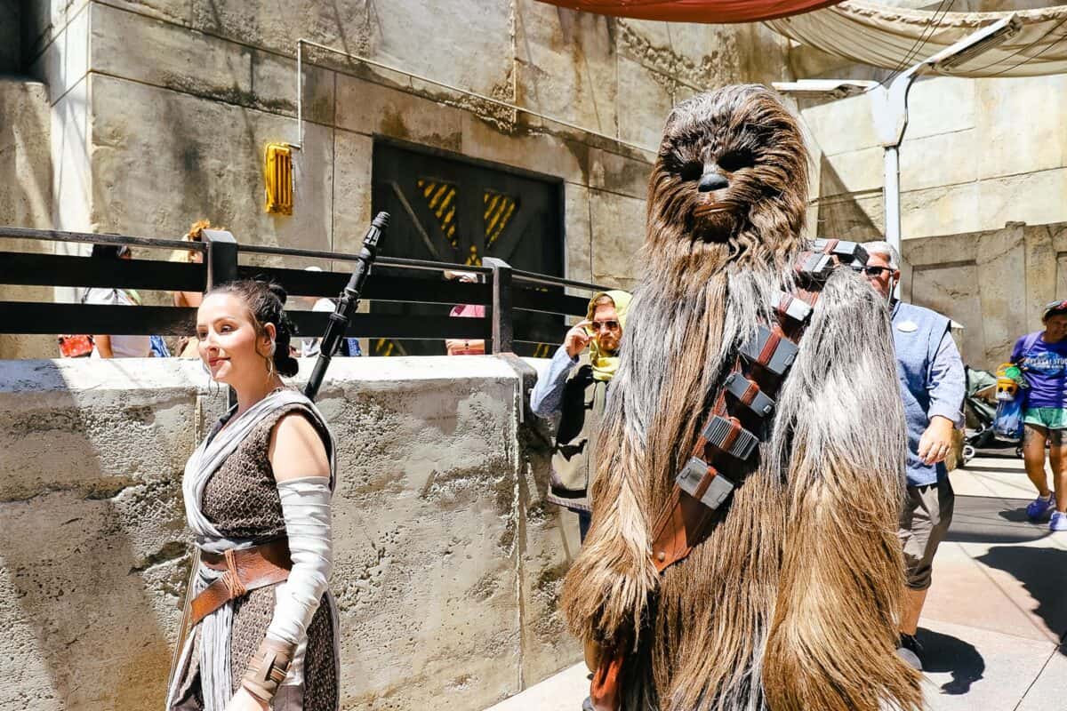 Star Wars Characters roaming Galaxy's Edge at Disney World