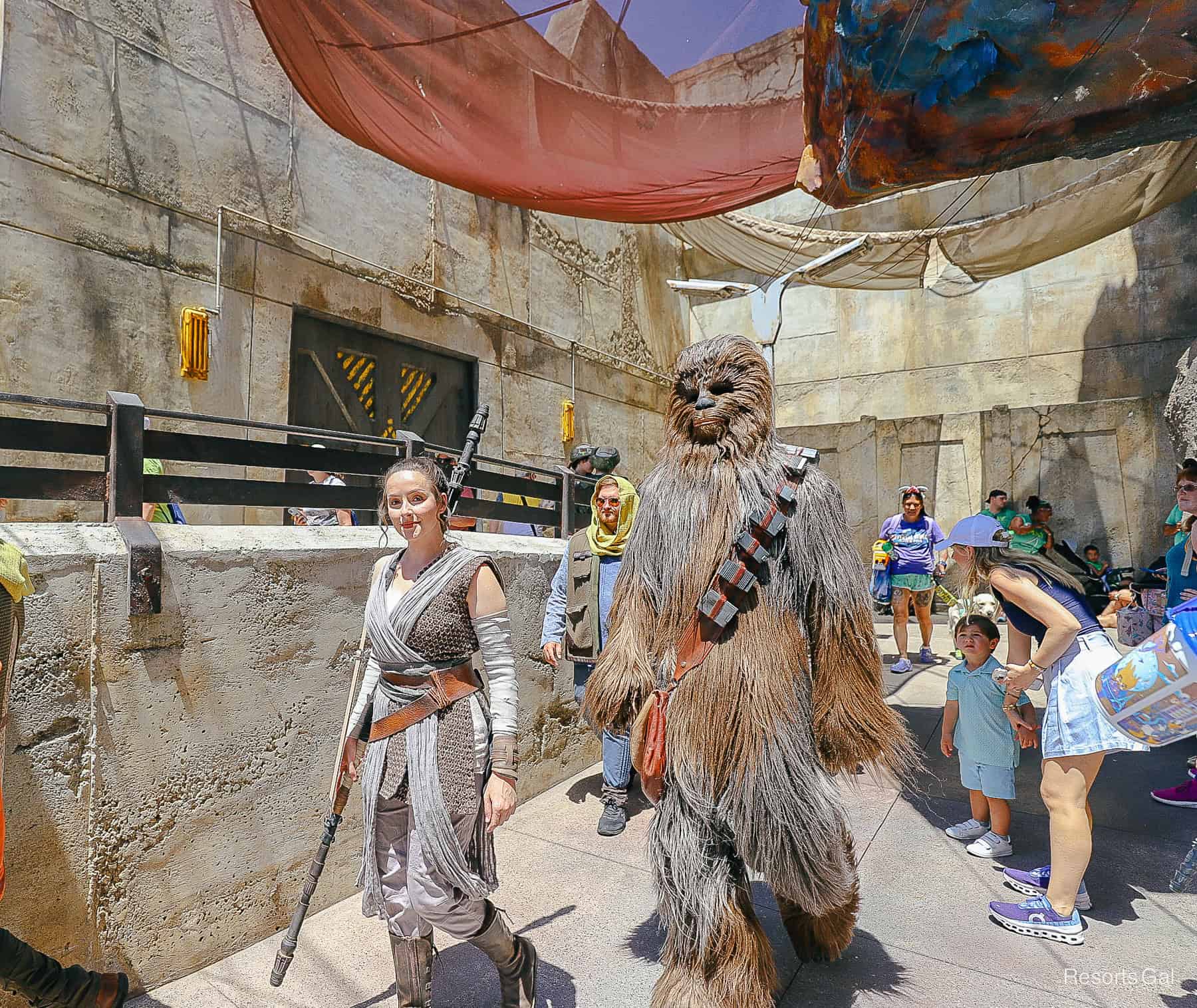 The Entire List of Star Wars Characters at Disney World (With Where to Find Them)