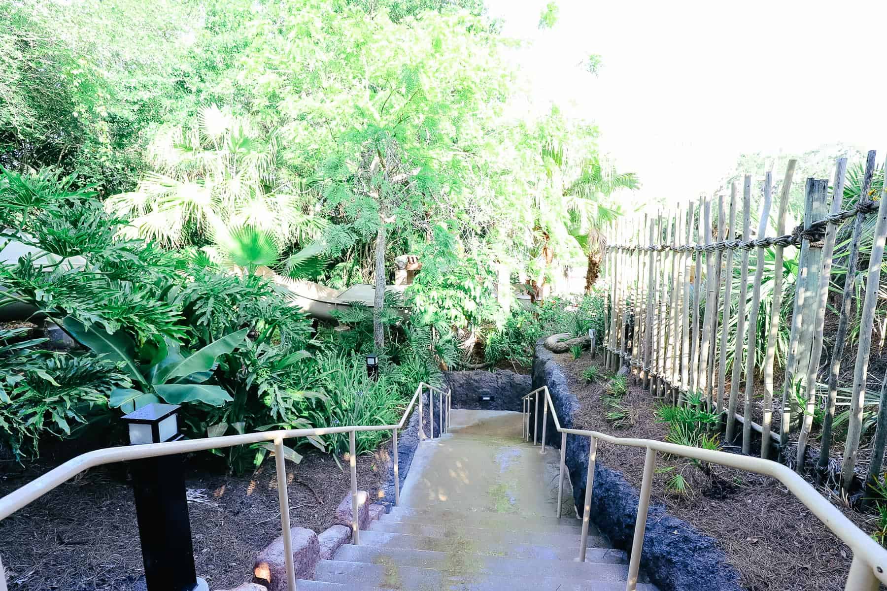 steps to the water slide 
