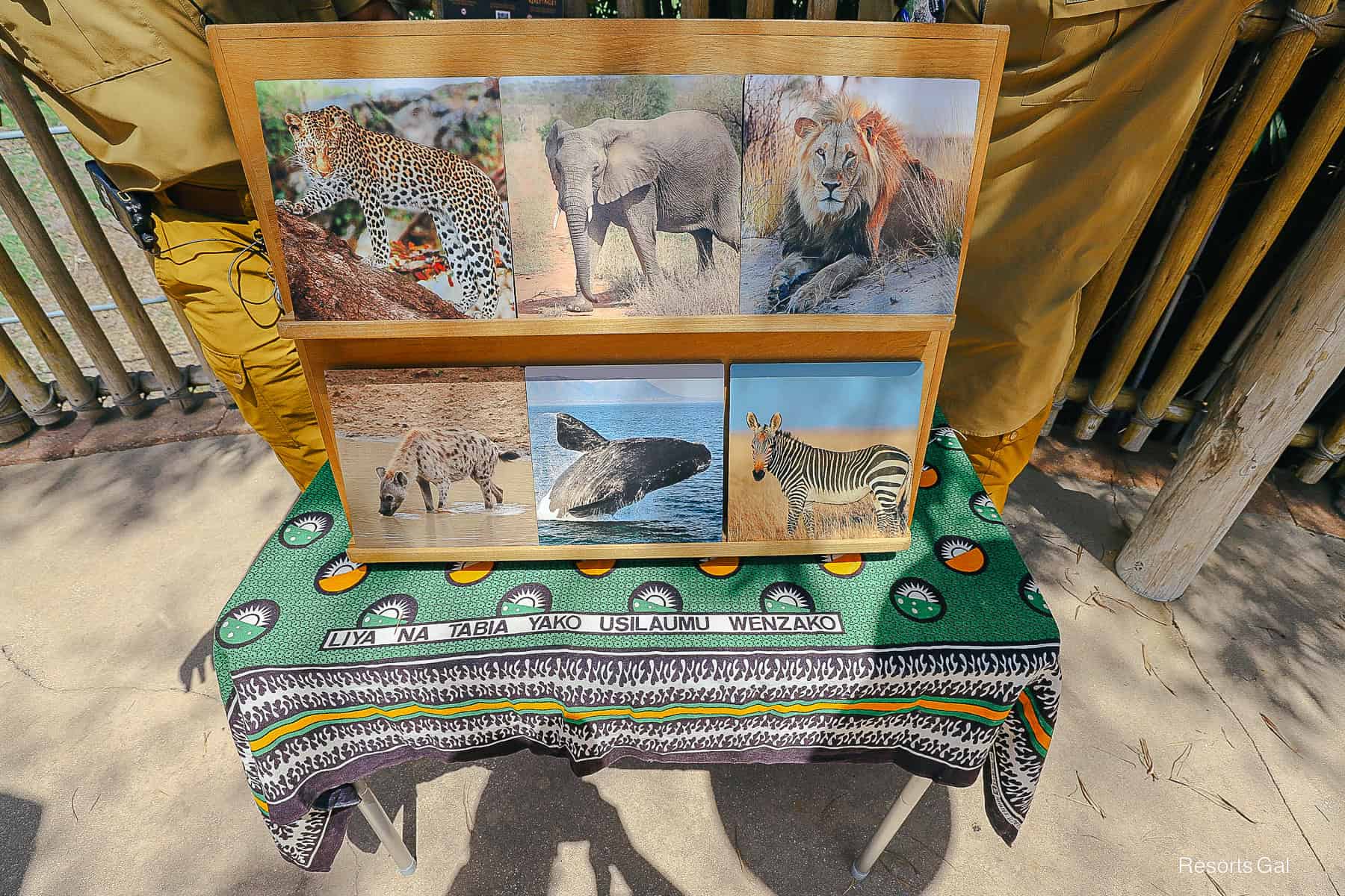 a board with wild animals where guests are supposed to listen and name which one made the sound 