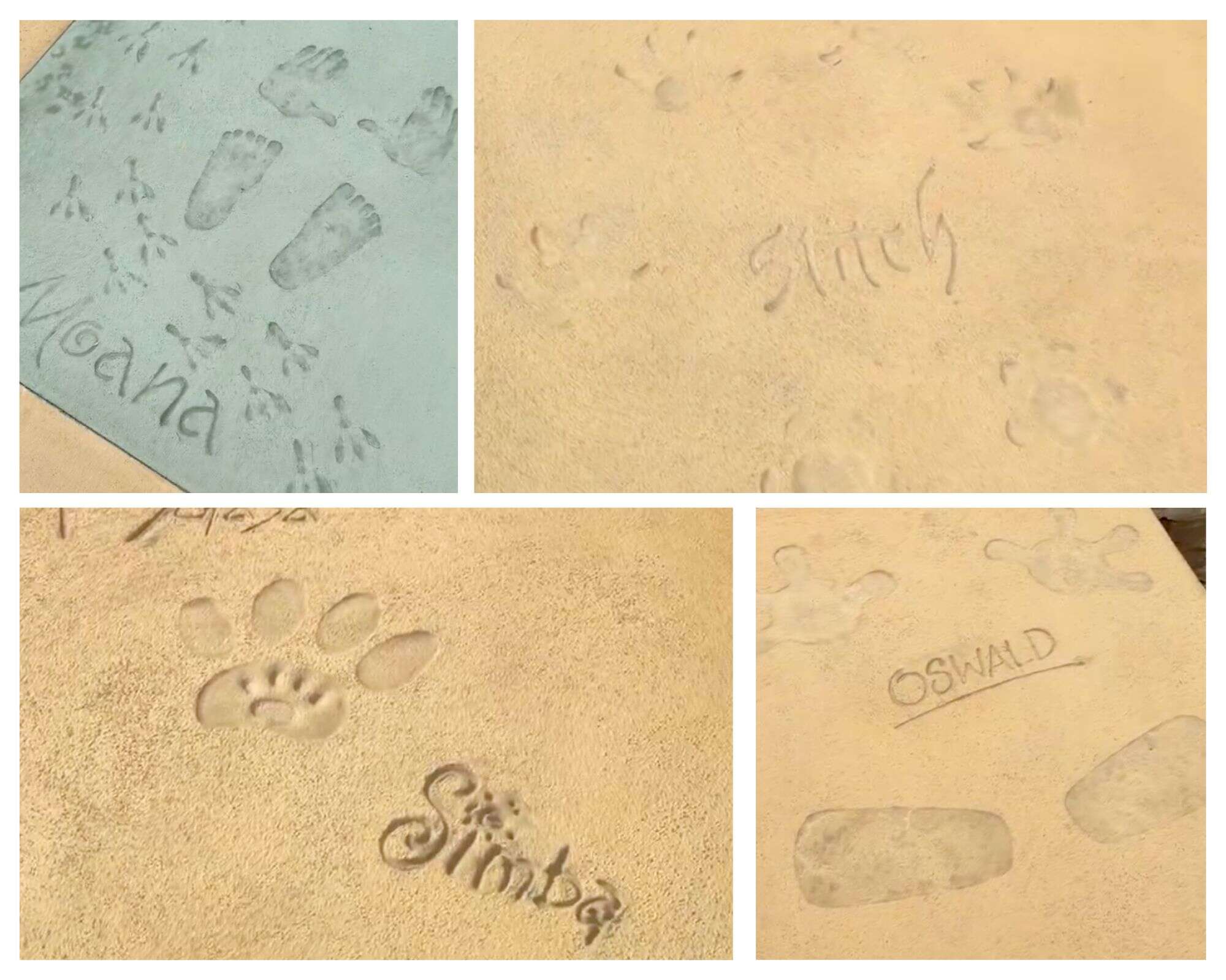 Characters Stop By the Walt Disney Studios Courtyard at Hollywood Studios to Leave Impressions