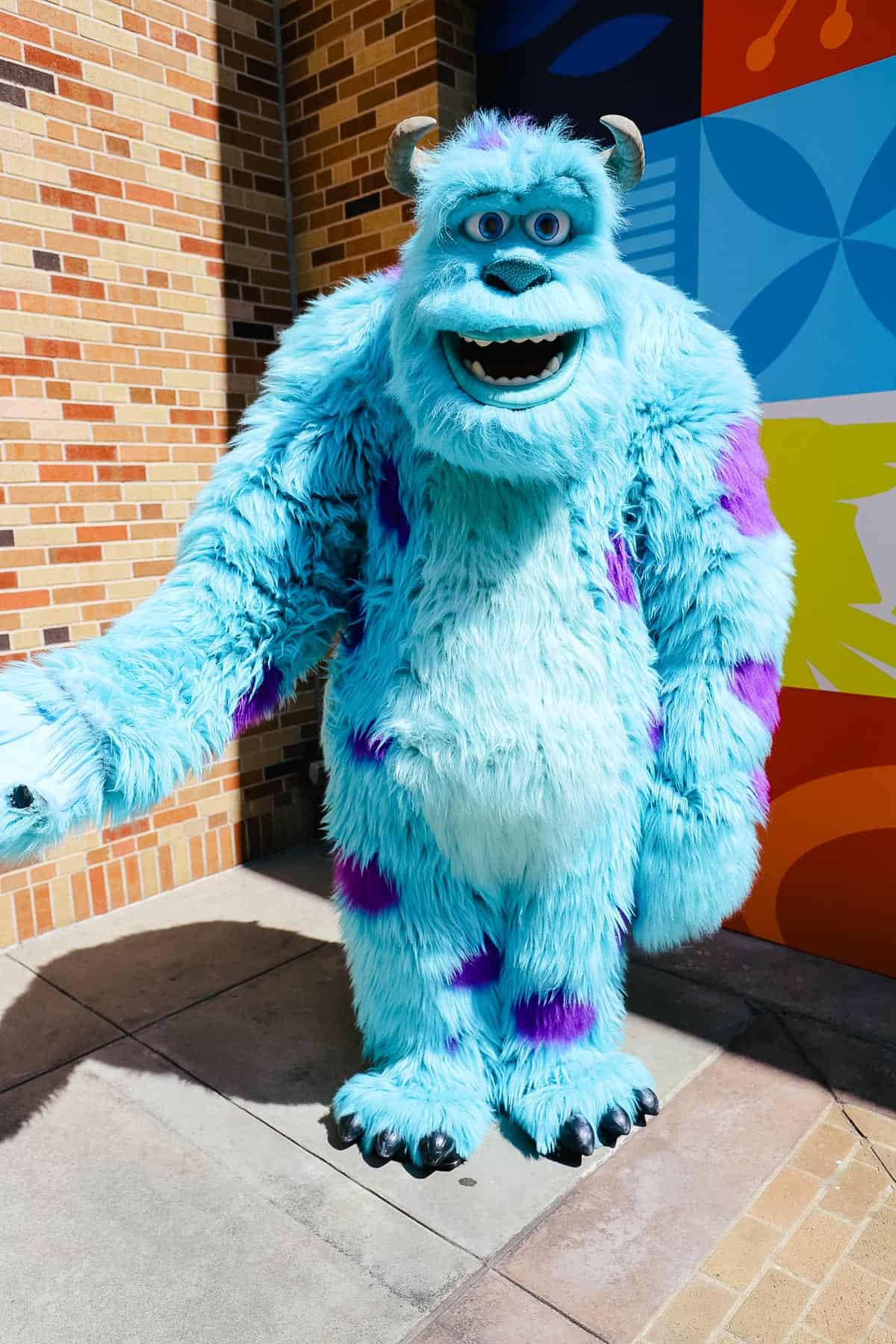 Sulley is a character that meets at Disney's Hollywood Studios. 