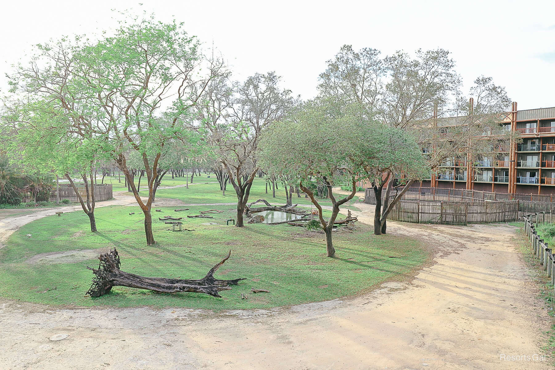 a view that shows the emergency coral/fire escape at Animal Kingdom Lodge