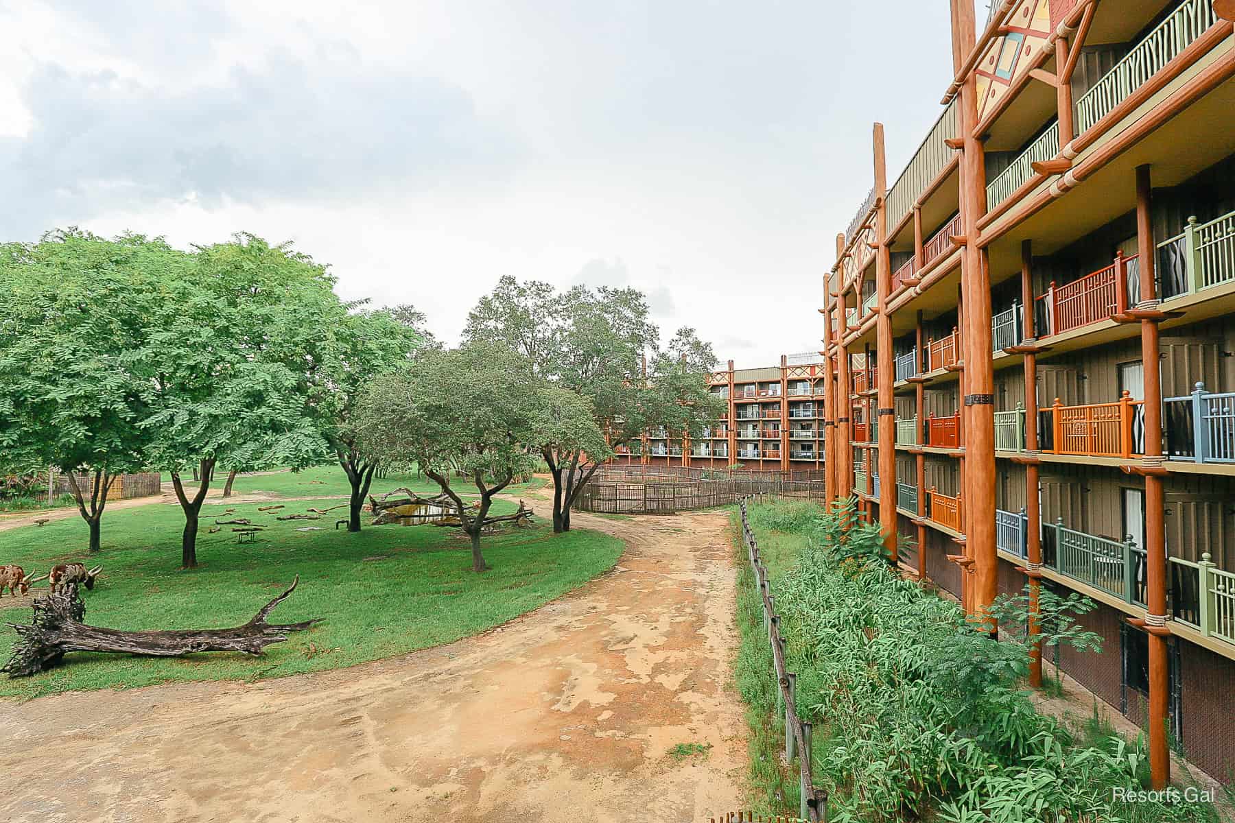 a view that shows the rooms in the area that face the Sunset Savanna