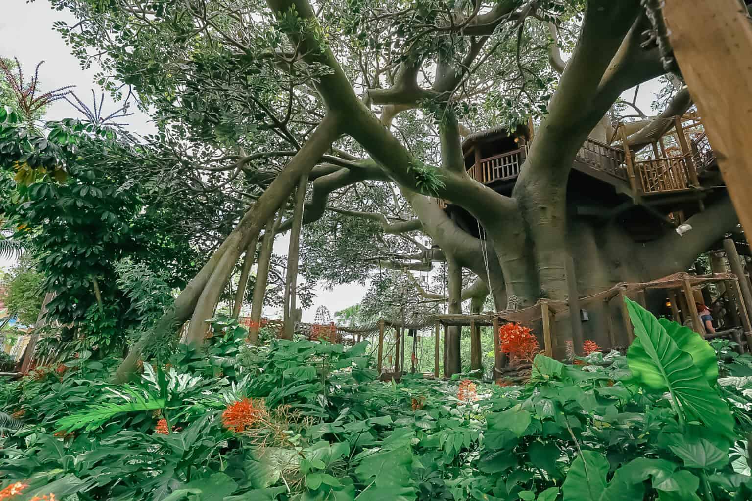 Swiss Family Treehouse at Magic Kingdom (Photos and Attraction Details)