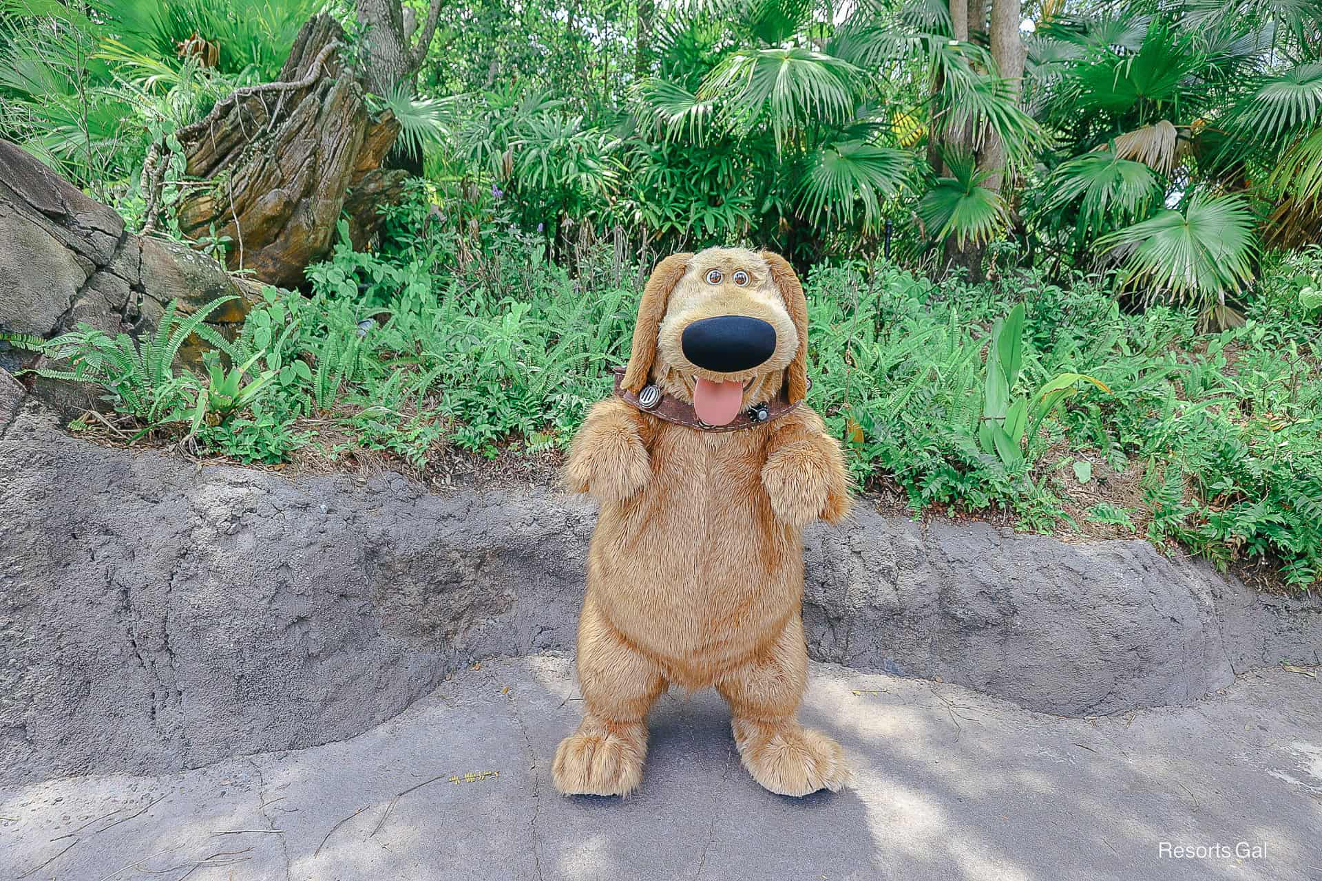 Talking Dug on Discovery Island Trails 