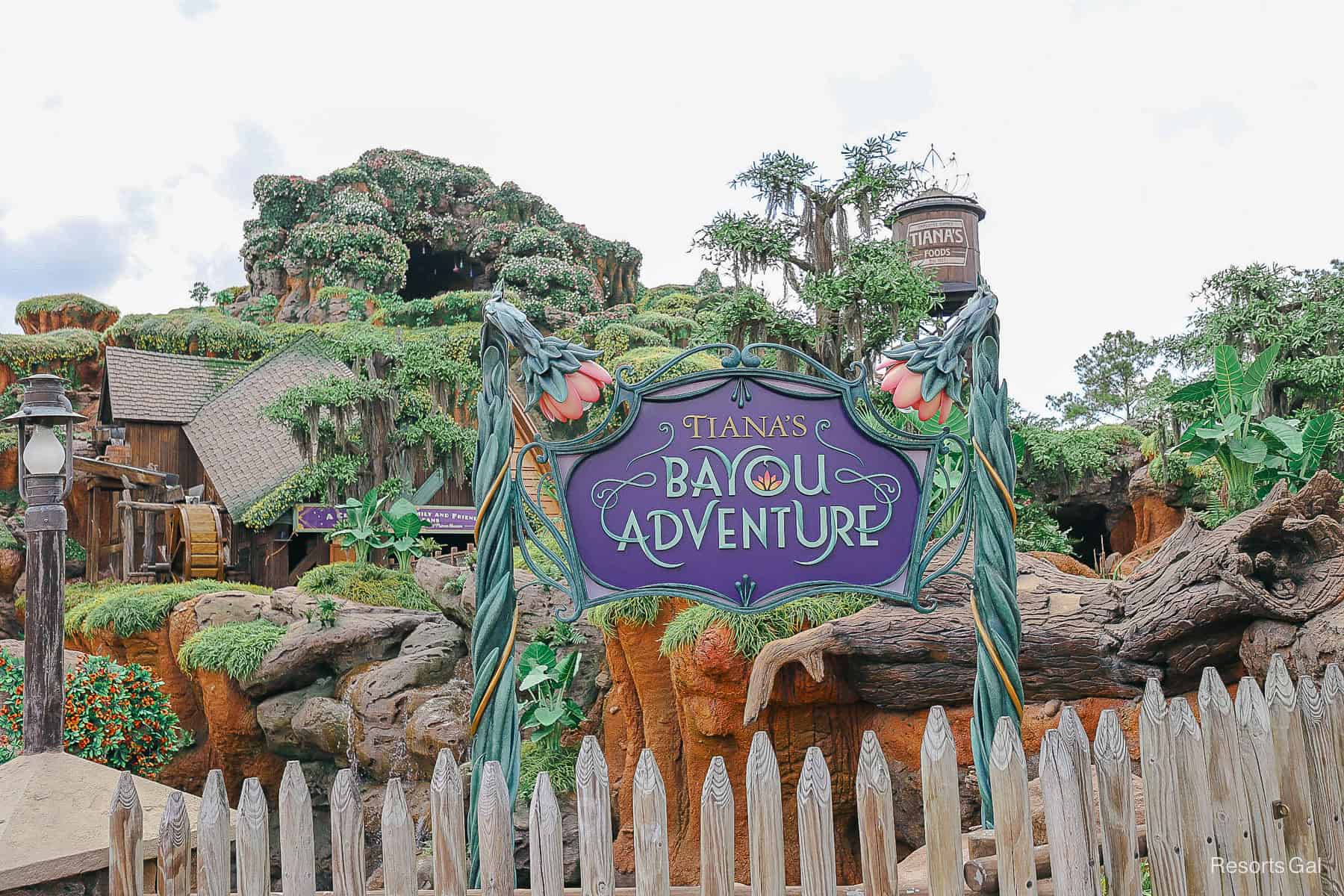 Magic Kingdom Ride Tiana's Bayou Adventure