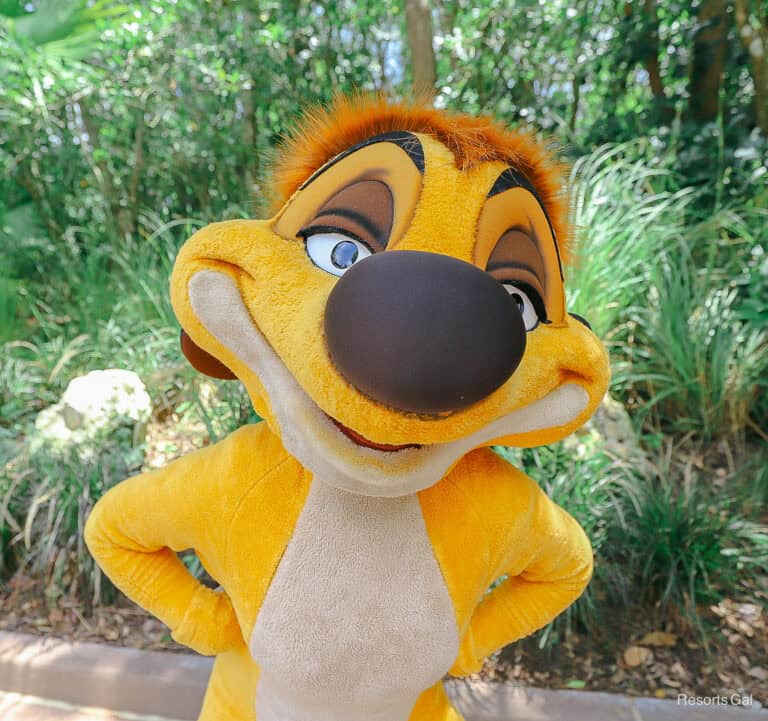 Timon Meet Disney's Animal Kingdom Character Meet-and-Greets (2026)