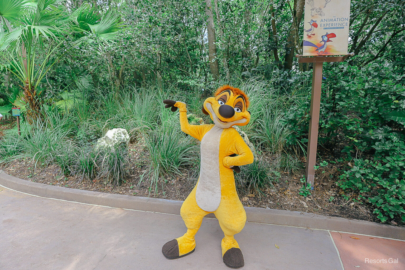 Timon Meet Meet Timon at Rafiki's Planet Watch at Disney's Animal Kingdom
