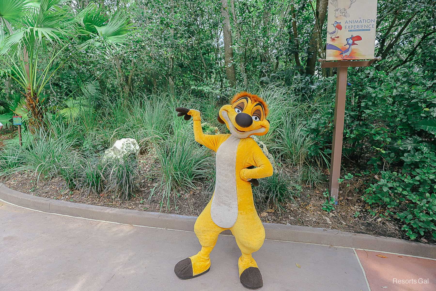 Timon points toward the grass 