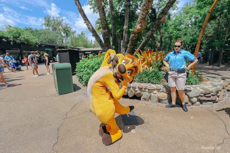 Where to Find Timon Near the Oasis at Disney’s Animal Kingdom