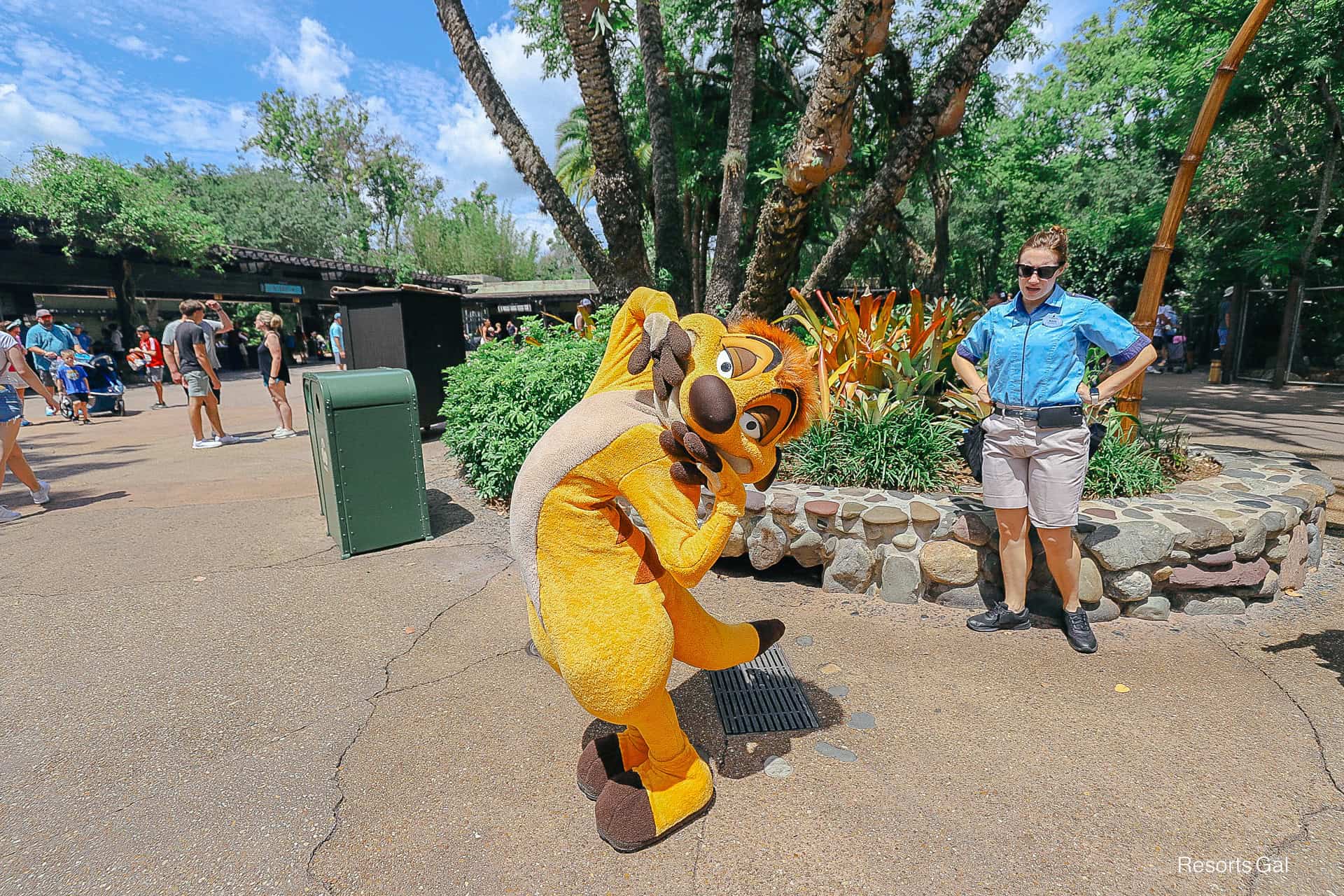 Where to Find Timon Near the Oasis at Disney’s Animal Kingdom
