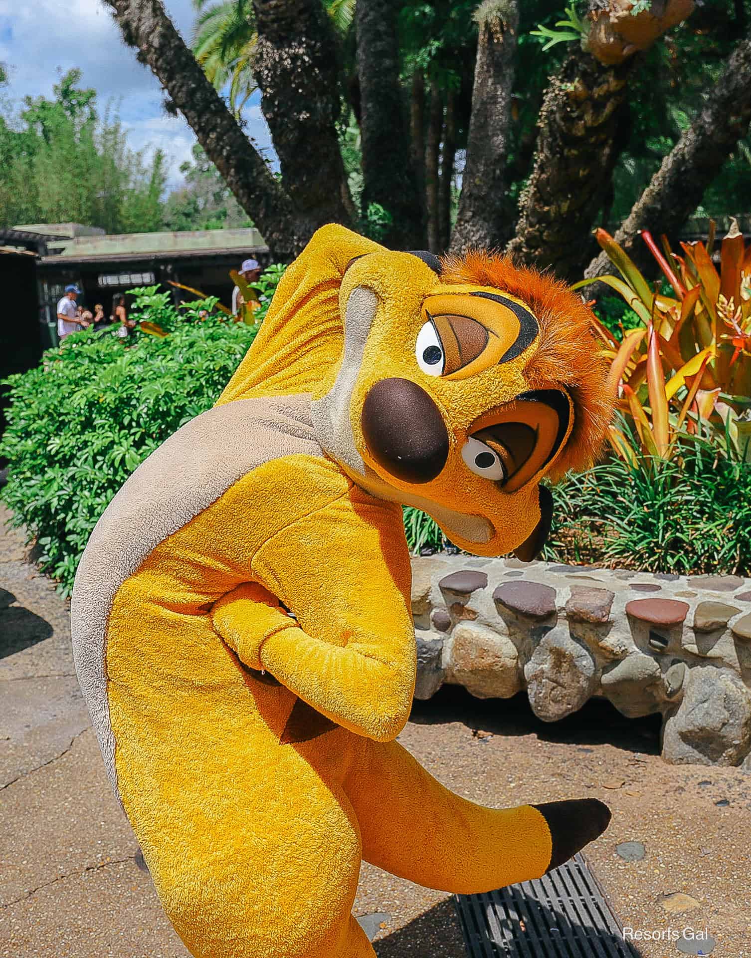 Timon vertical pose 