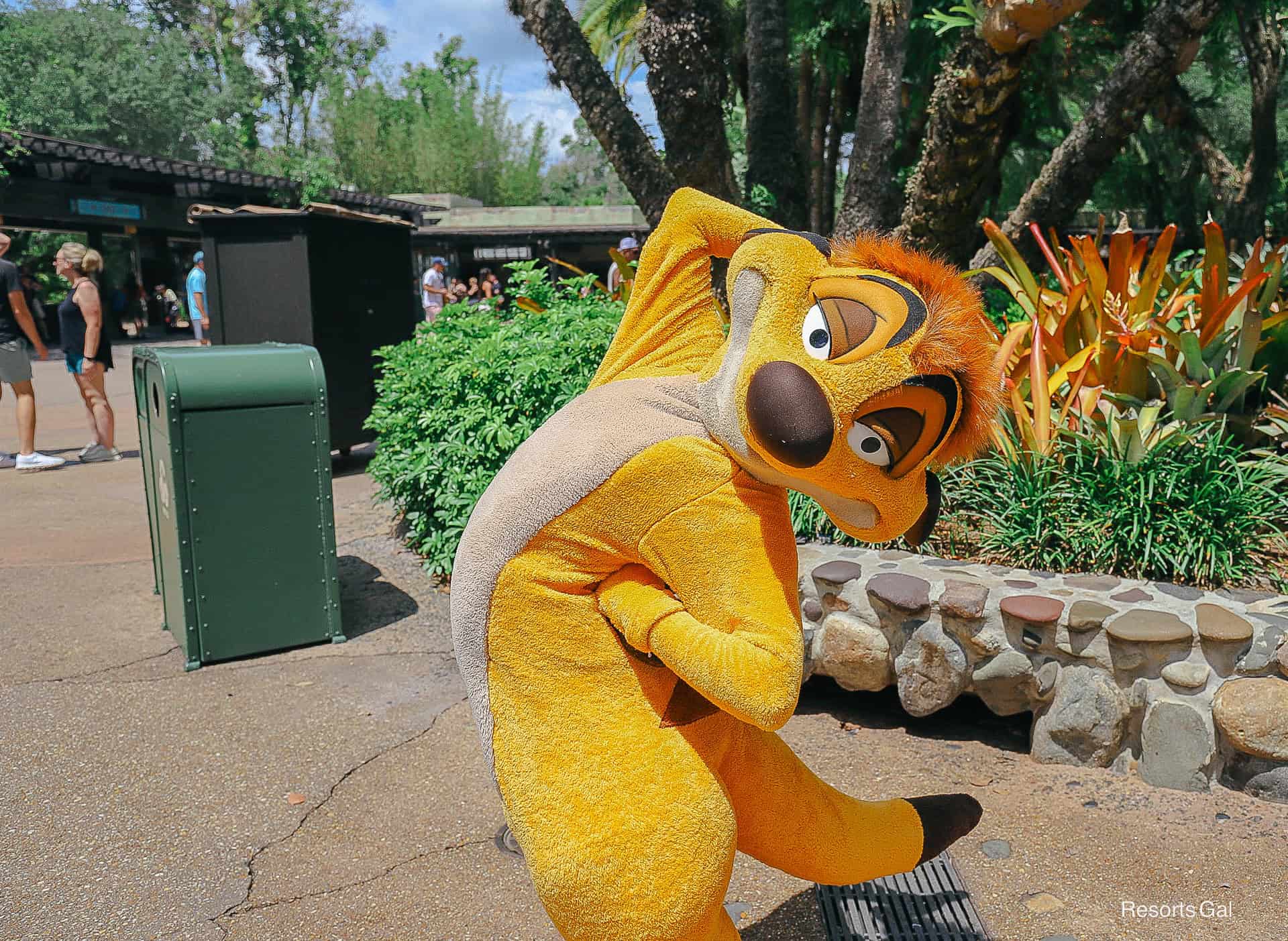 Timon poses for a photo in the Oasis of Disney's Animal Kingdom 