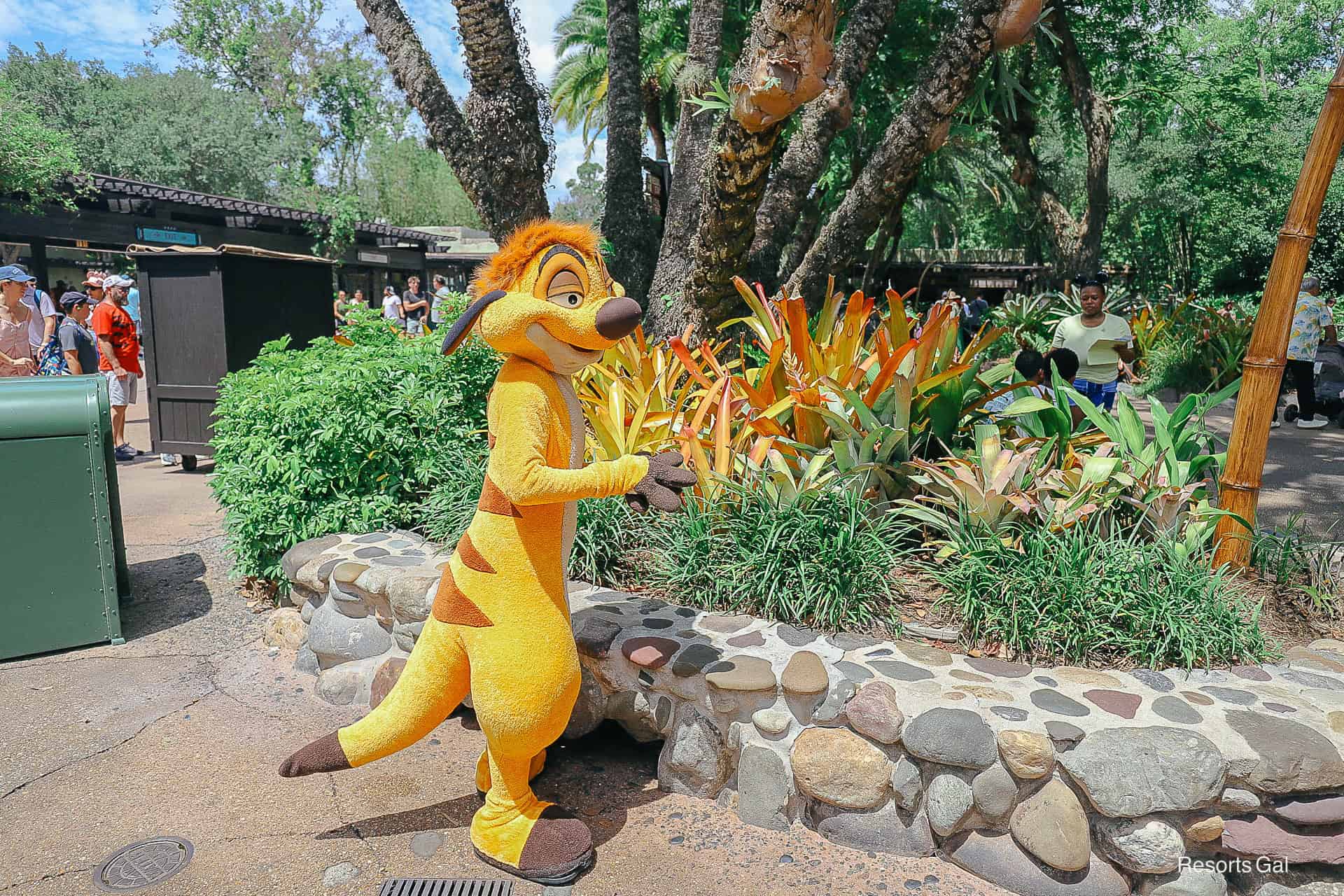 Timon side view by flowers at entrance of Disney's Animal Kingdom. 