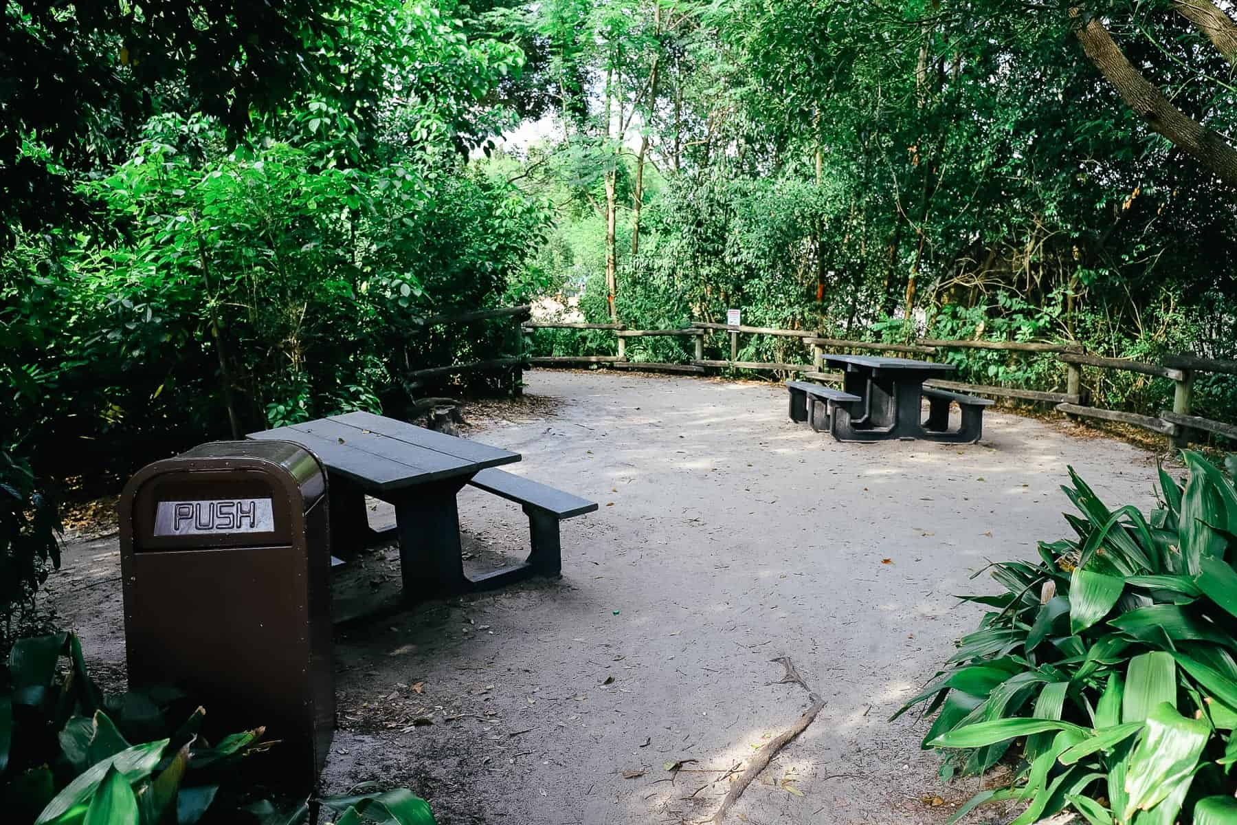 Picnic tables and benches 