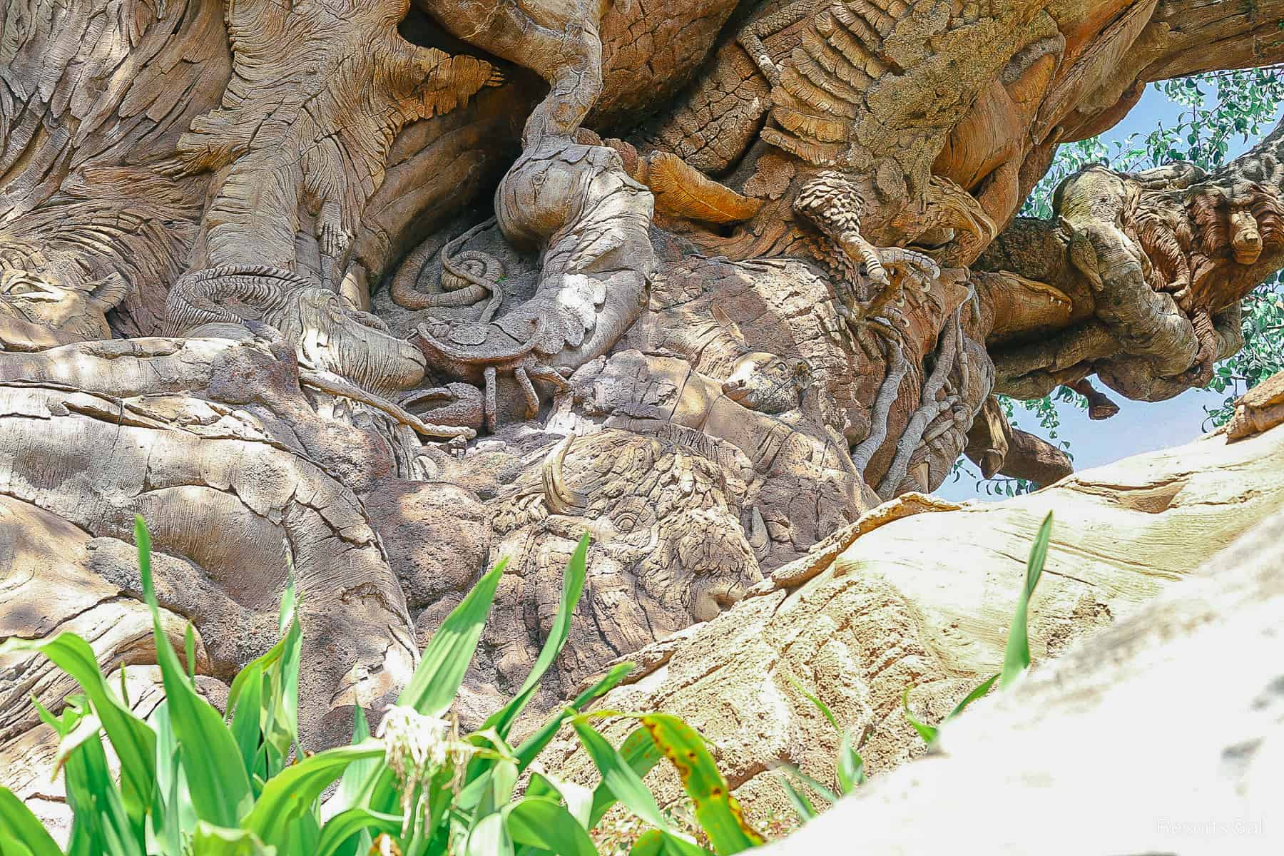 more animals carved into the tree 