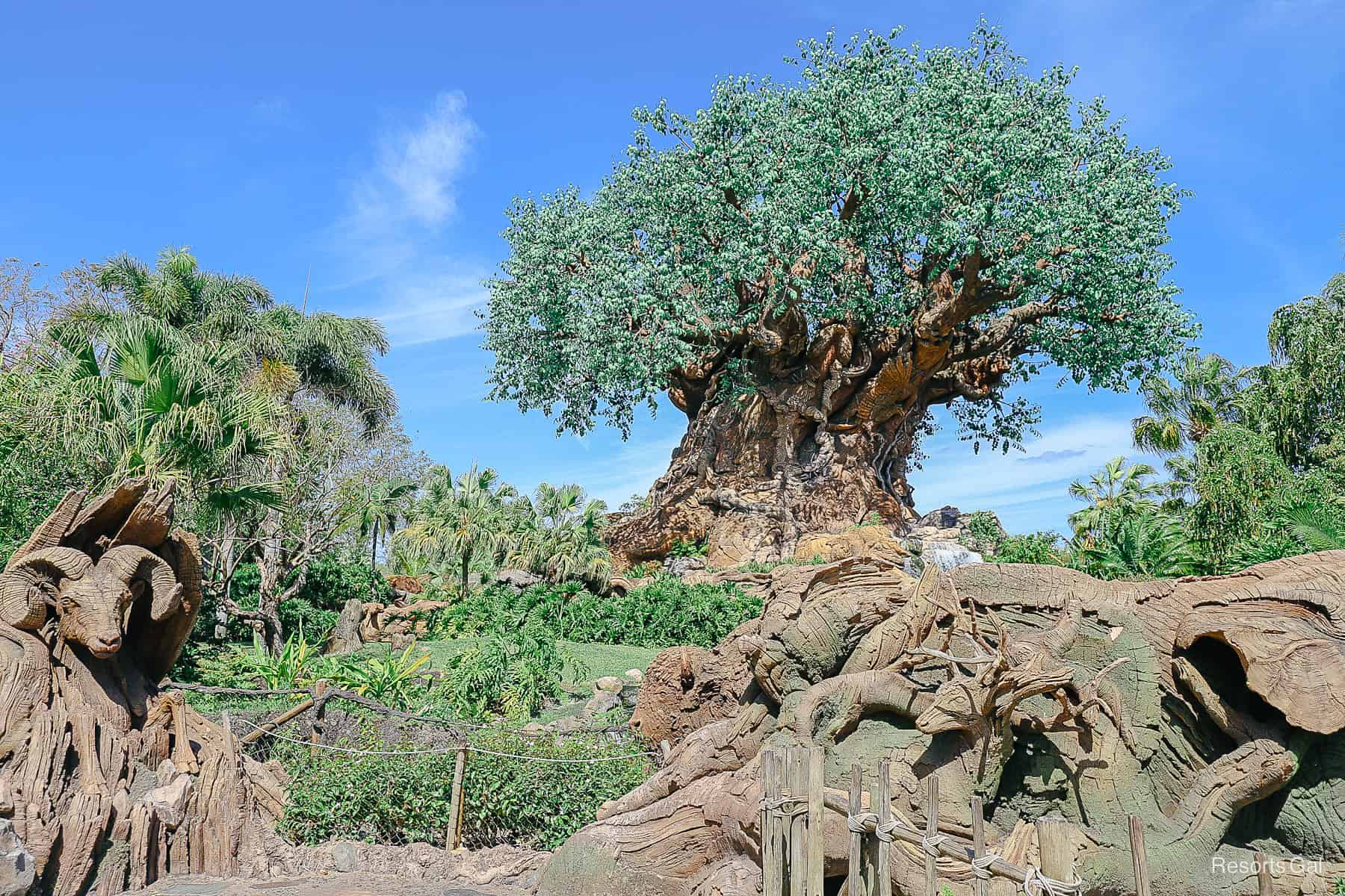 A pretty photo with the bright green faux leaves of the Tree of Life and blue skies behind it. 