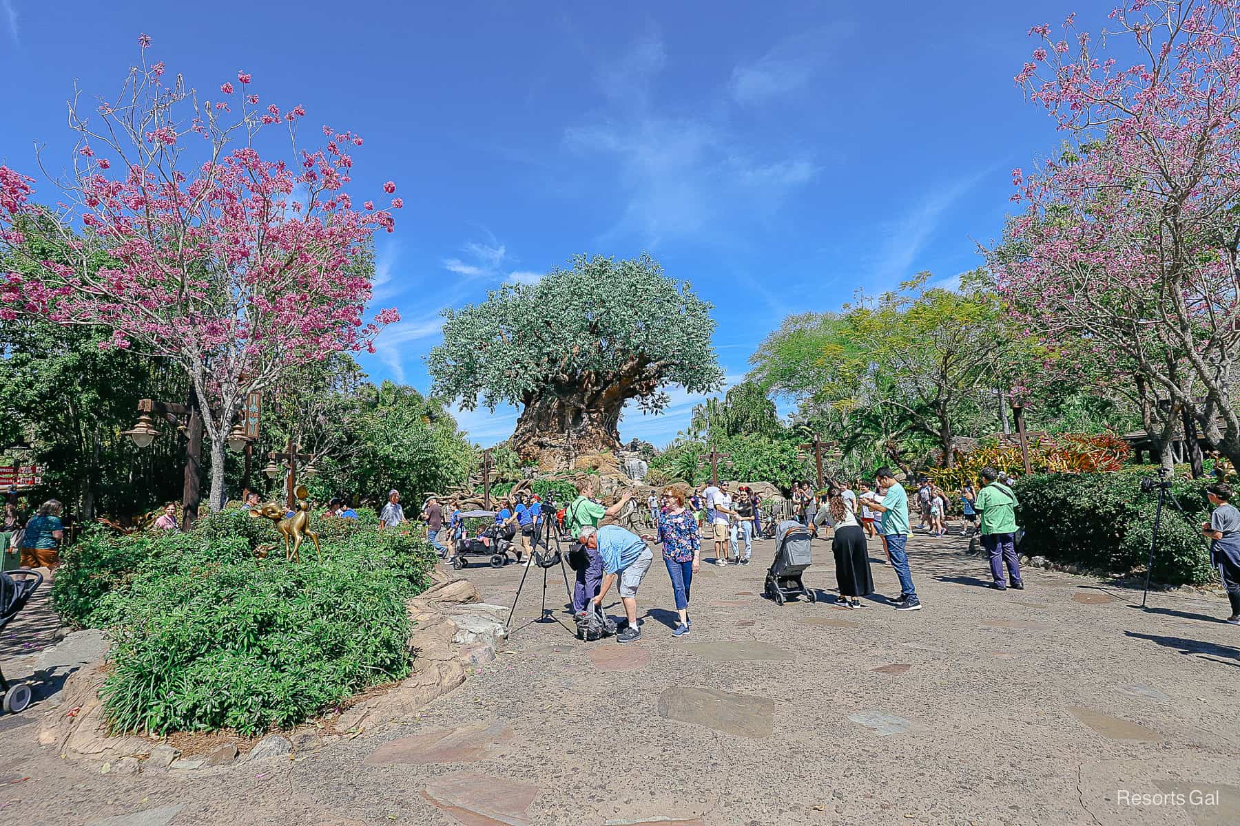 the Tree of Life with guests standing in front of it for photos. 