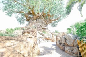 The Tree of Life at Disney's Animal Kingdom (An Attraction Guide ...