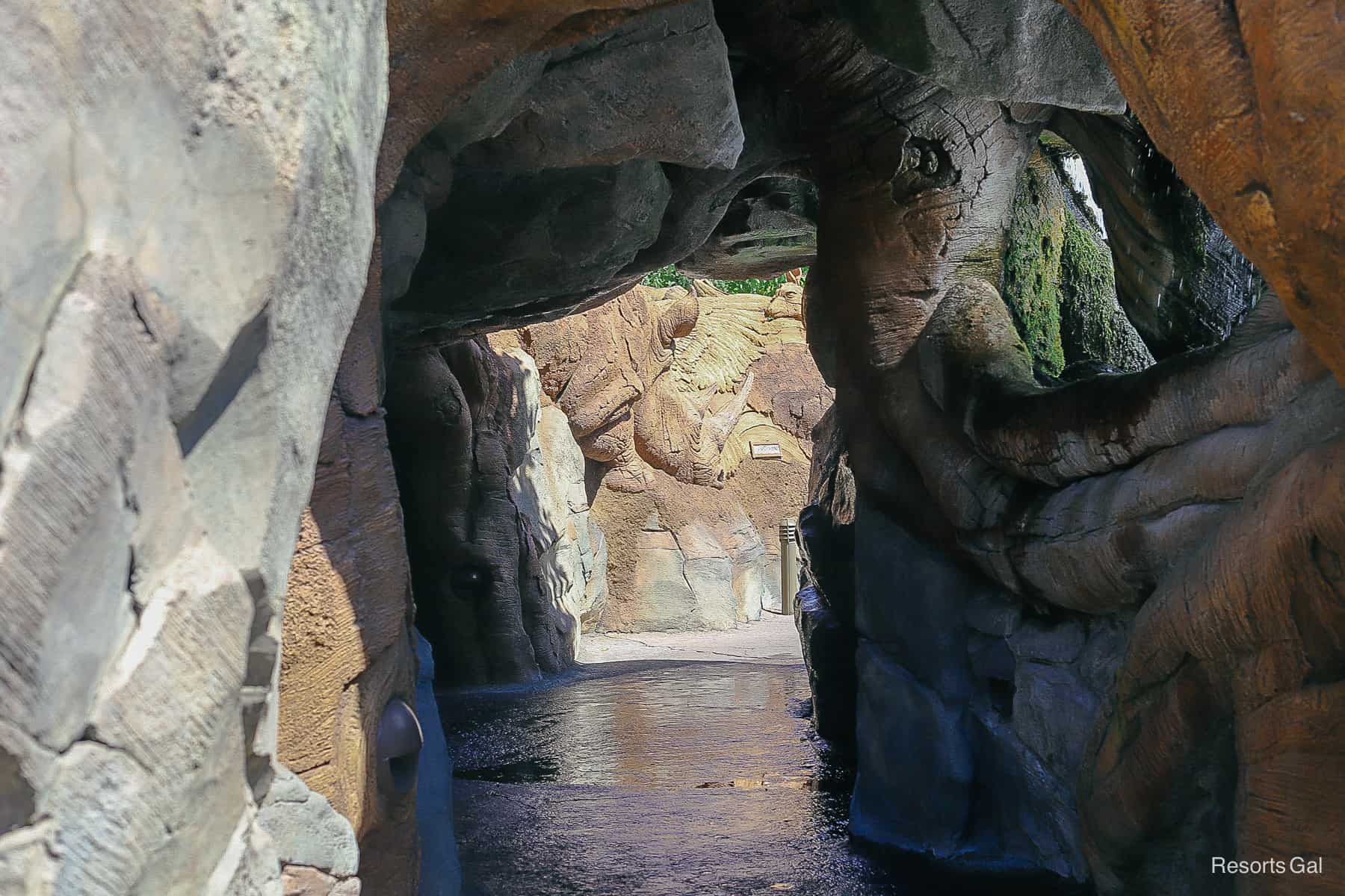 a wooden cave area carved out under the Tree of Life roots 