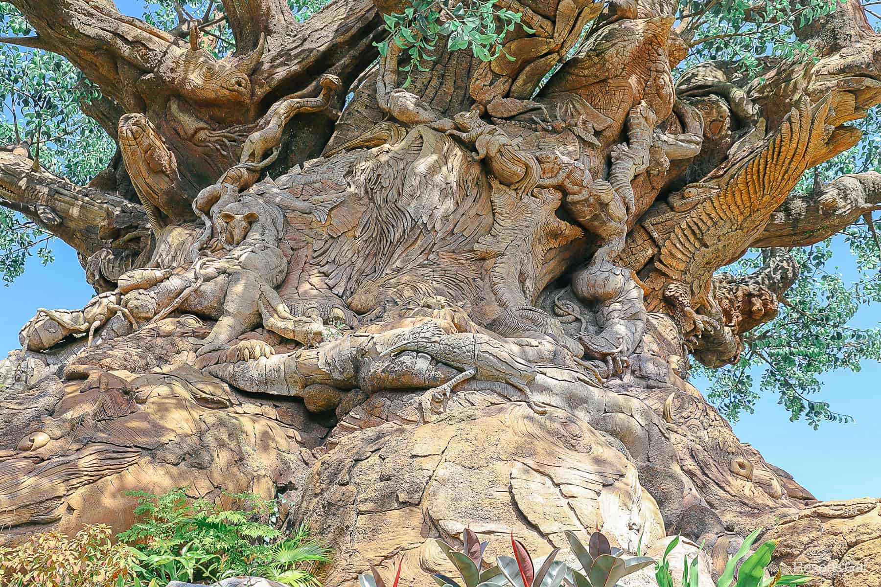 wood carvings on the Tree of Life at Disney's Animal Kingdom 