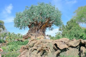 The Tree of Life at Disney's Animal Kingdom (An Attraction Guide ...