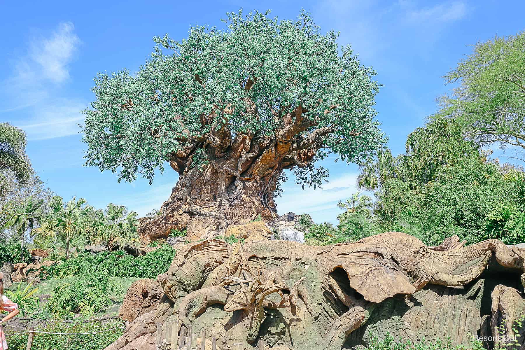 Disney's Animal Kingdom Tree of Life Guide