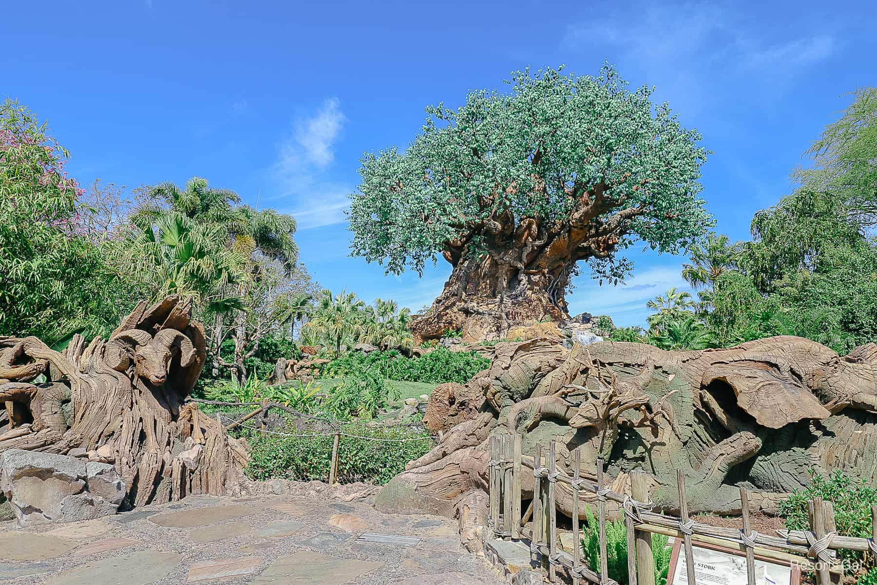The Tree of Life on Discovery Island at Disney's Animal Kingdom 