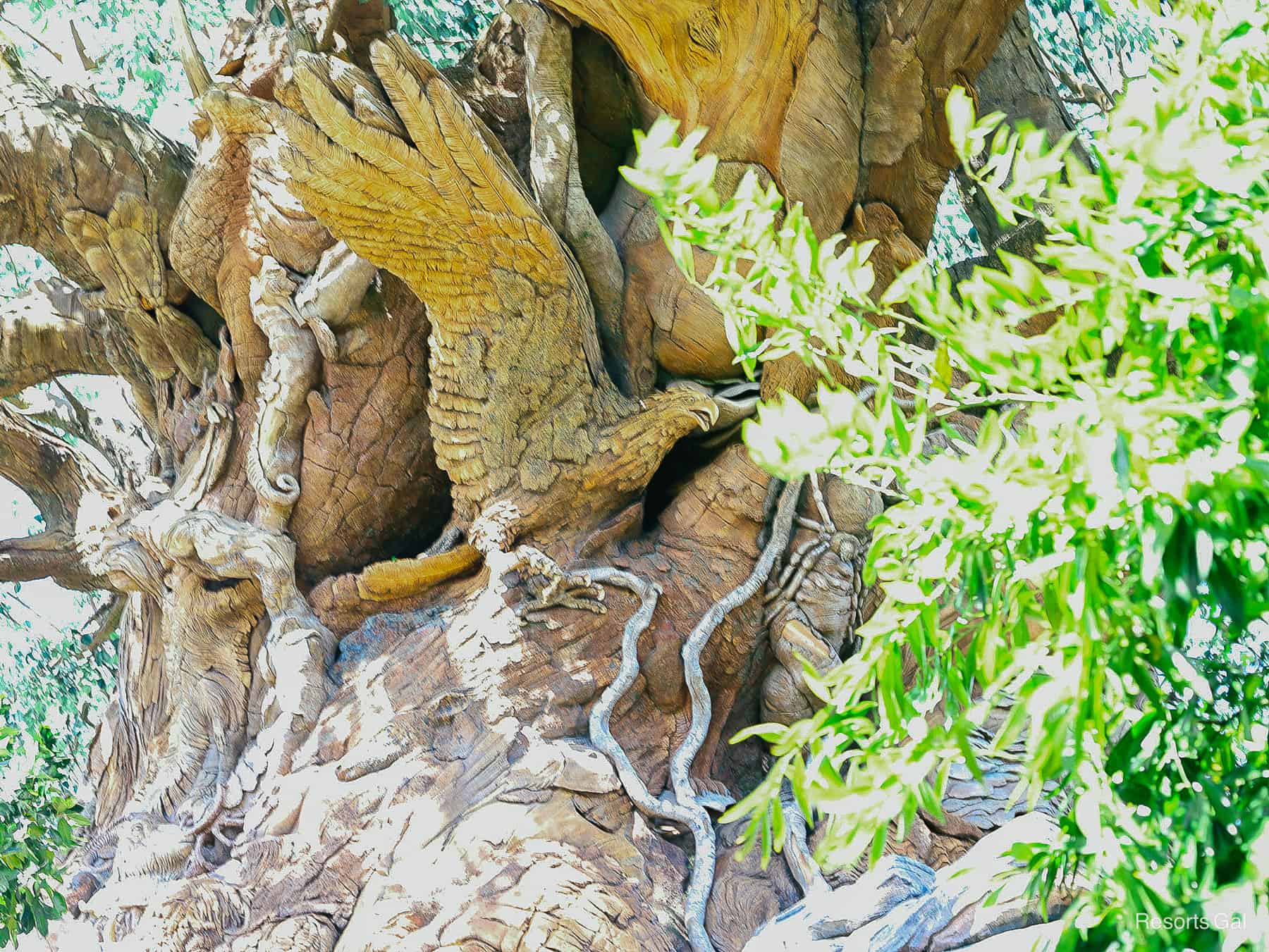 a closeup of a hawk carving on the Tree of Life 