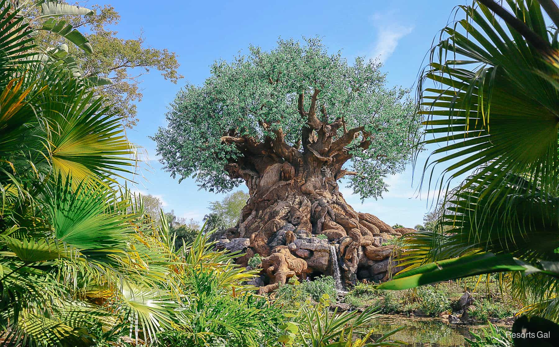 photo gallery of pretty Tree of Life pictures 