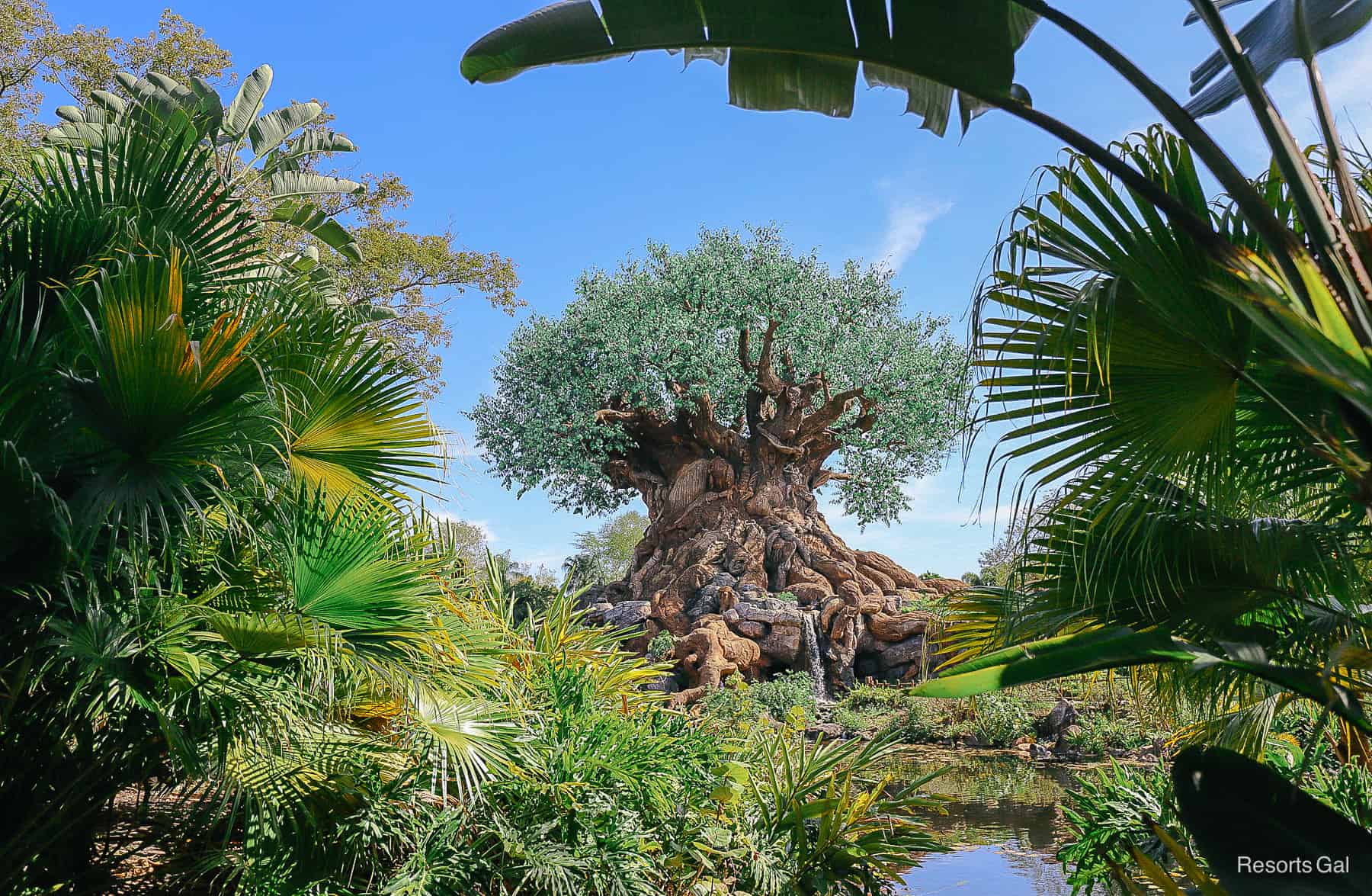 a scenic view of the trails around Discovery Island and the Tree of Life backdrop