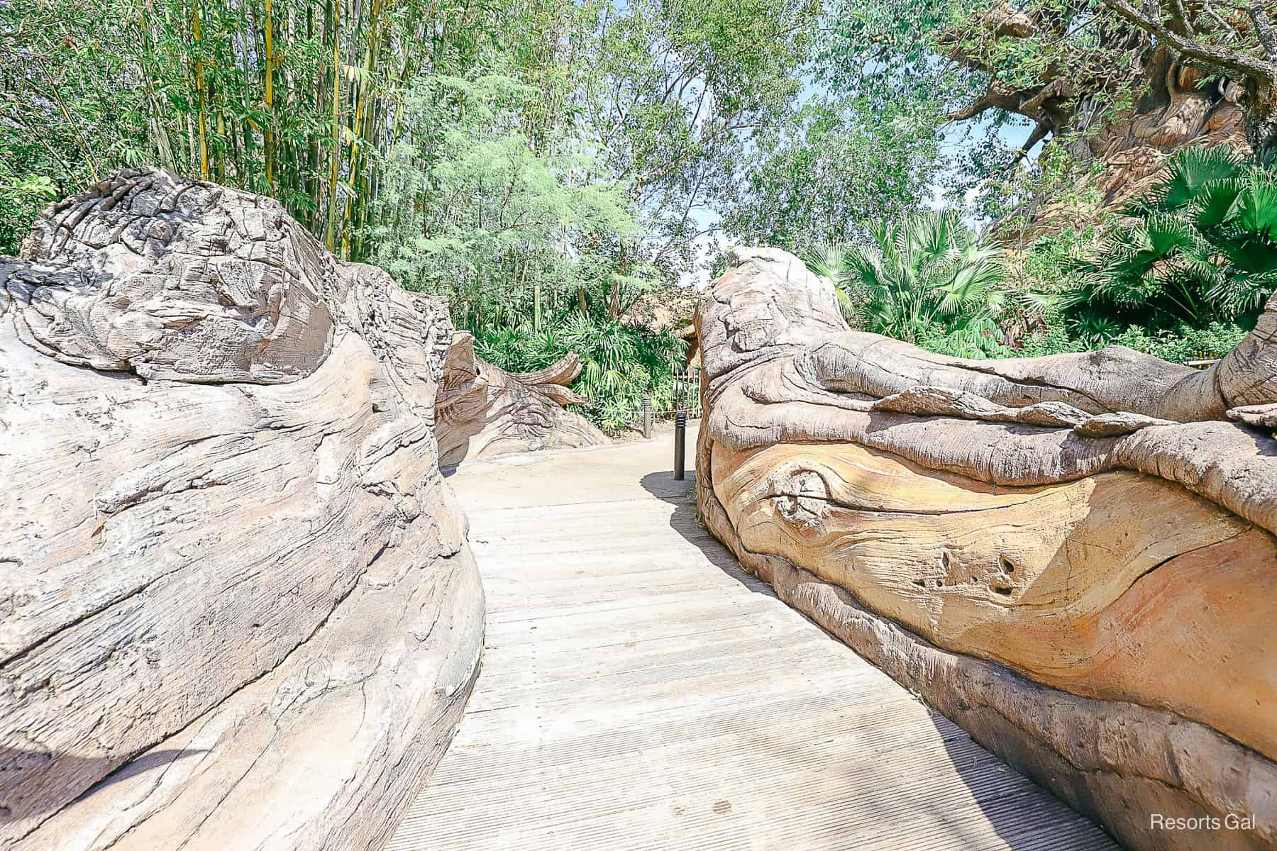 a bridge that leads up to the Tree of Life garden 