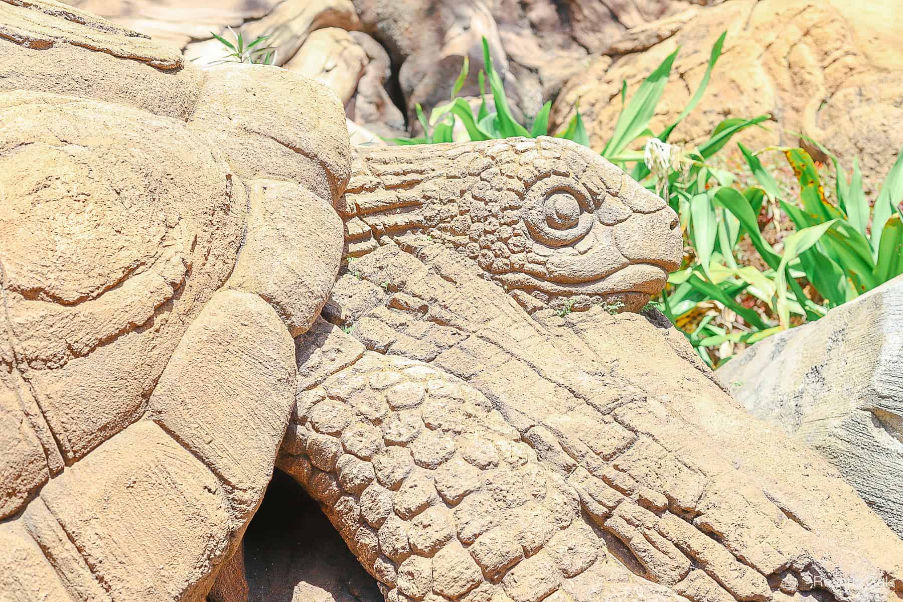 a turtle carving on the Tree of Life at Disney's Animal Kingdom 