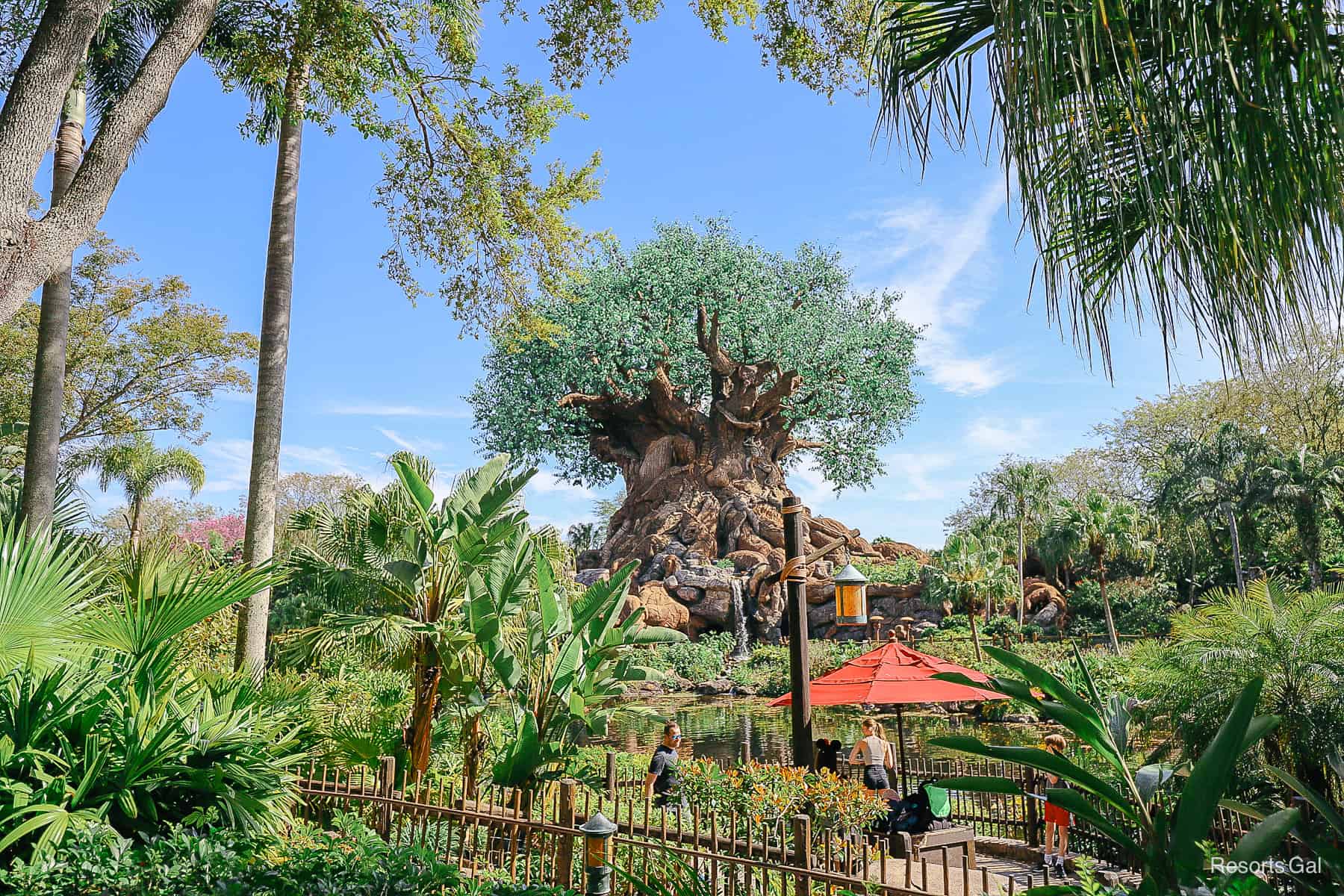 Animal Kingdom's Tree of Life Photo Spot with red umbrella 