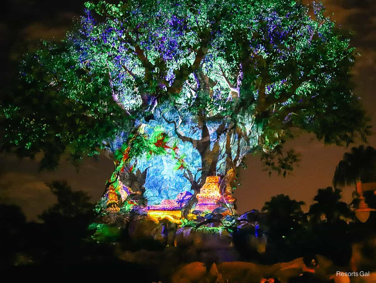 Tree of Life Awakenings Returns to Disney's Animal Kingdom in November 2026