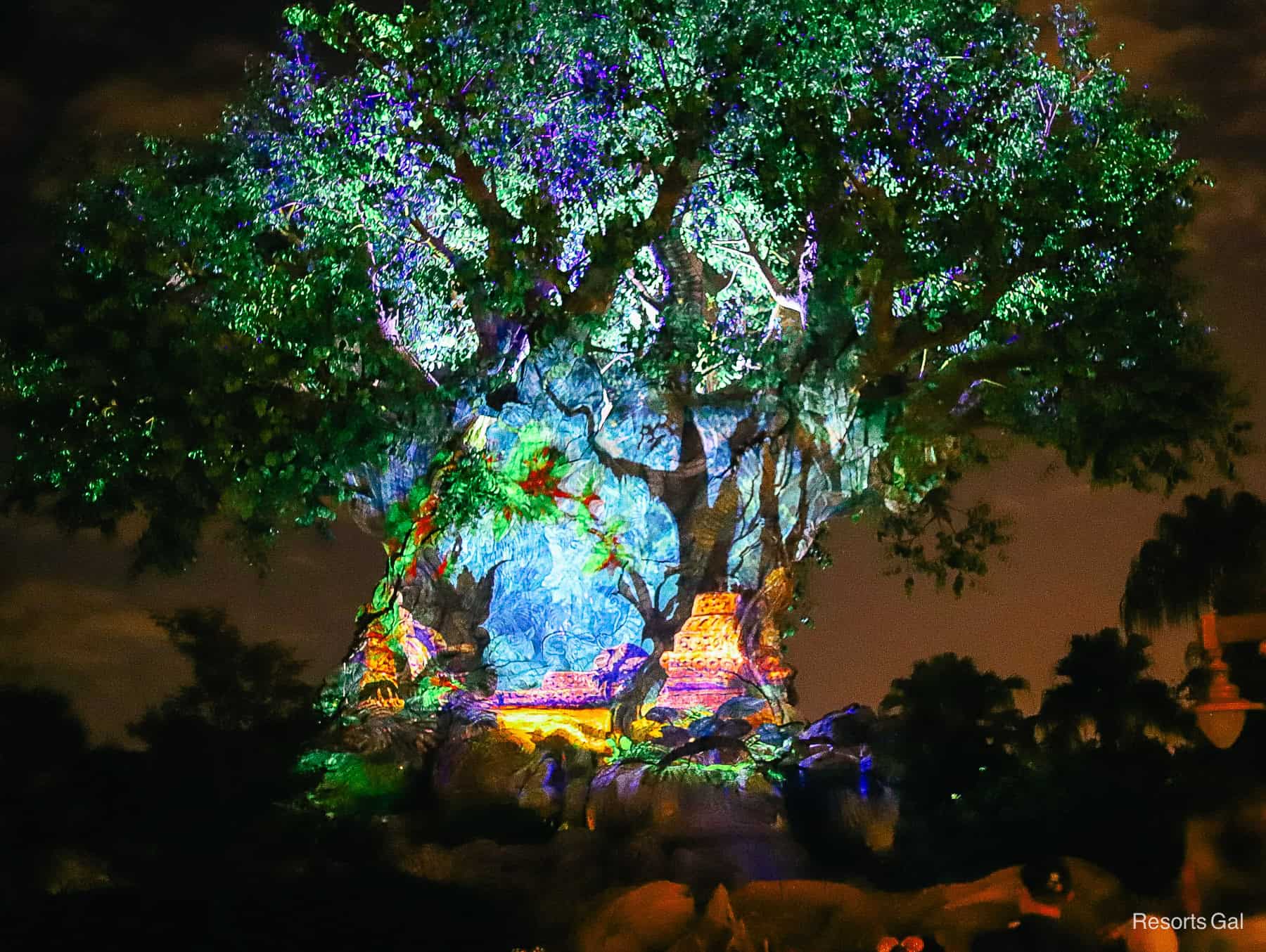 an Awakening scene on Tree of Life show at Disney's Animal Kingdom