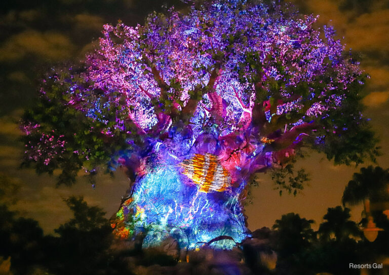 Disney World Extended Evening Hours for November 2026