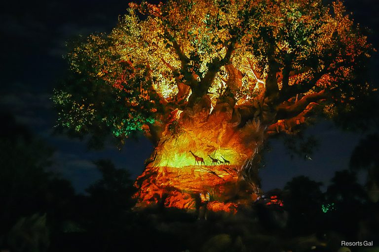 Tree of Life Awakenings Returns to Disney’s Animal Kingdom in November 2026