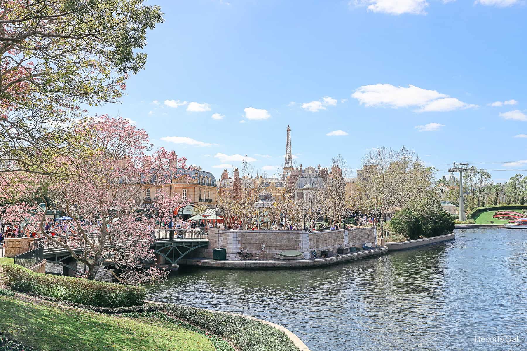 a scenic photo of the trees blooming near the France Pavilion at Epcot in late February 