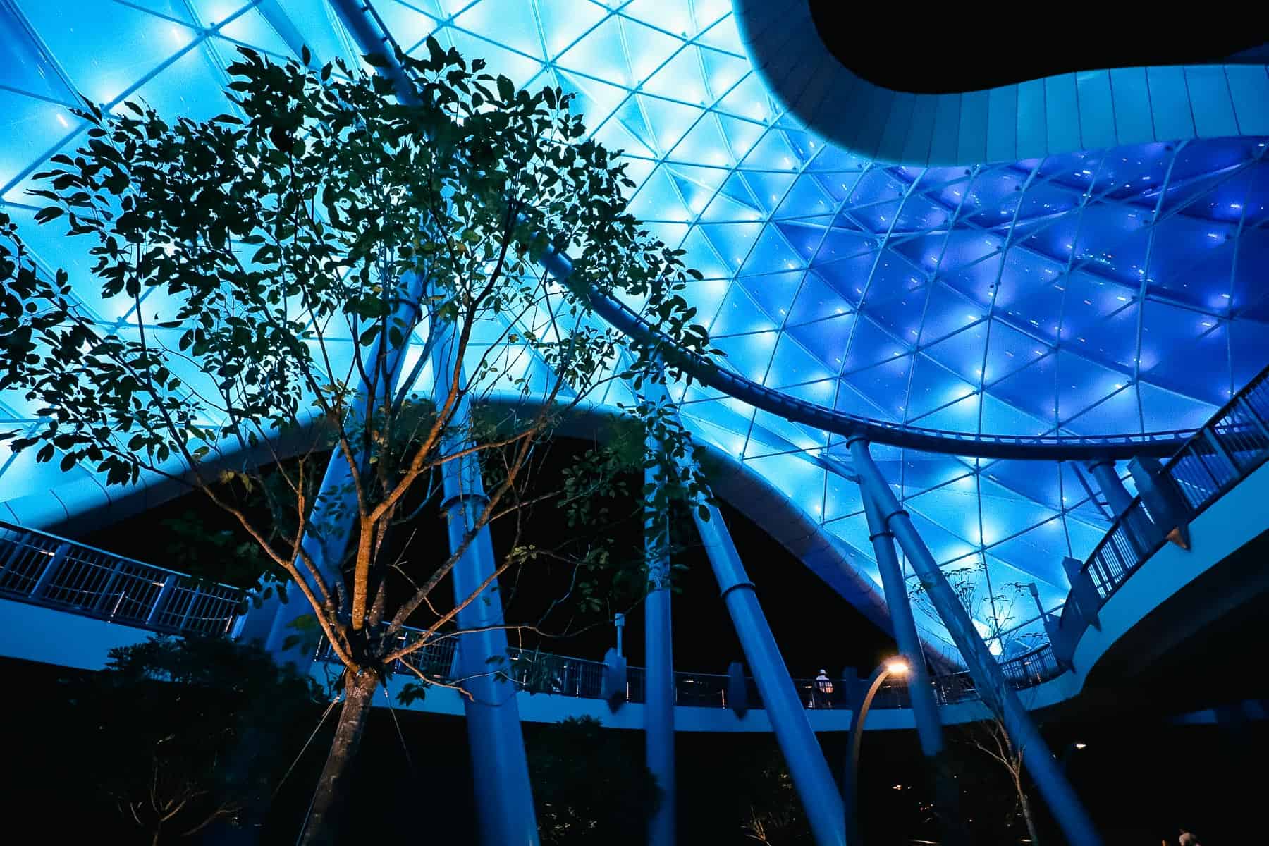 View of the Tron Canopy at night from the ground level. 