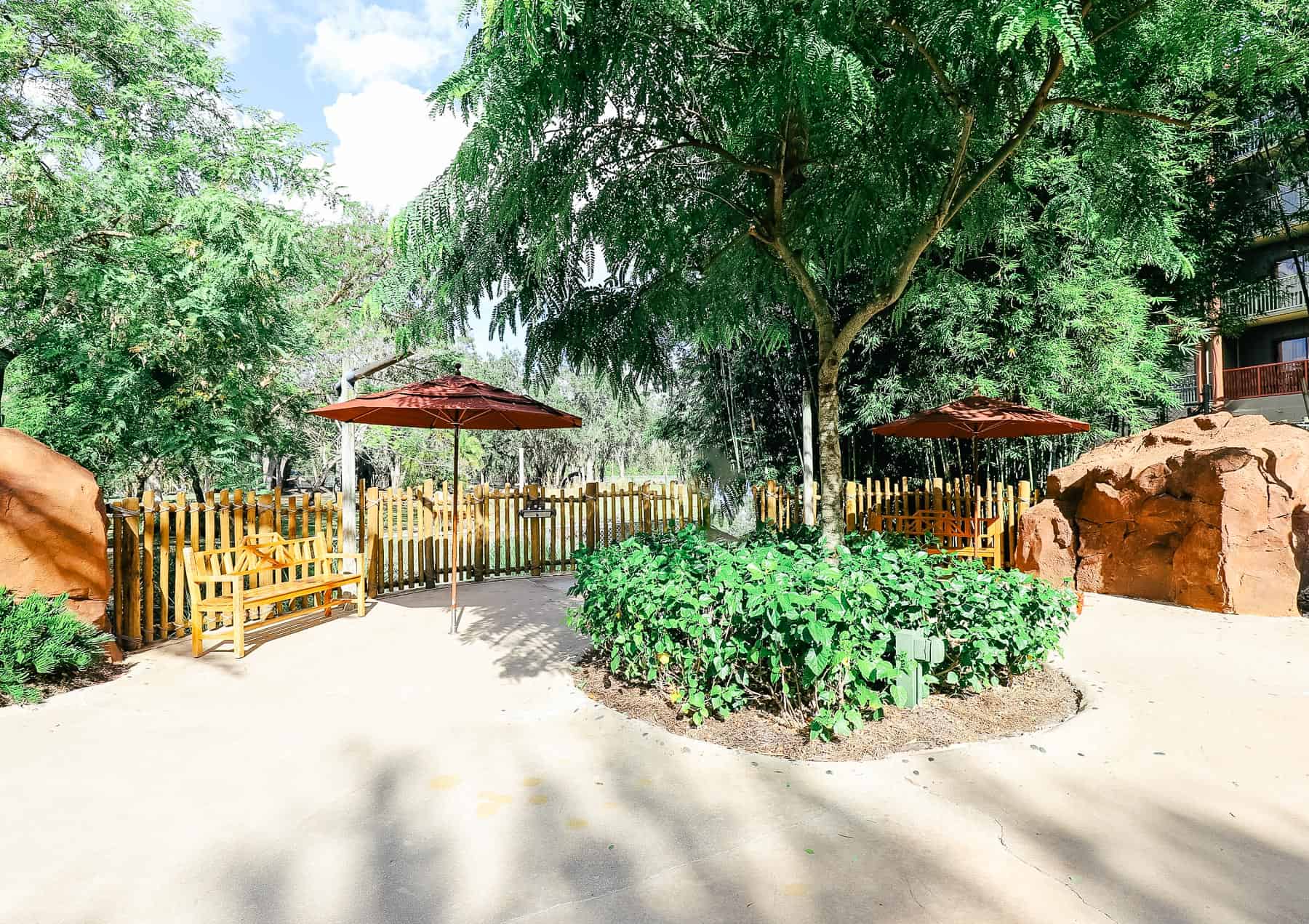 two umbrellas and a couple of benches sit near the savanna viewing area at the Kidani Village Pool