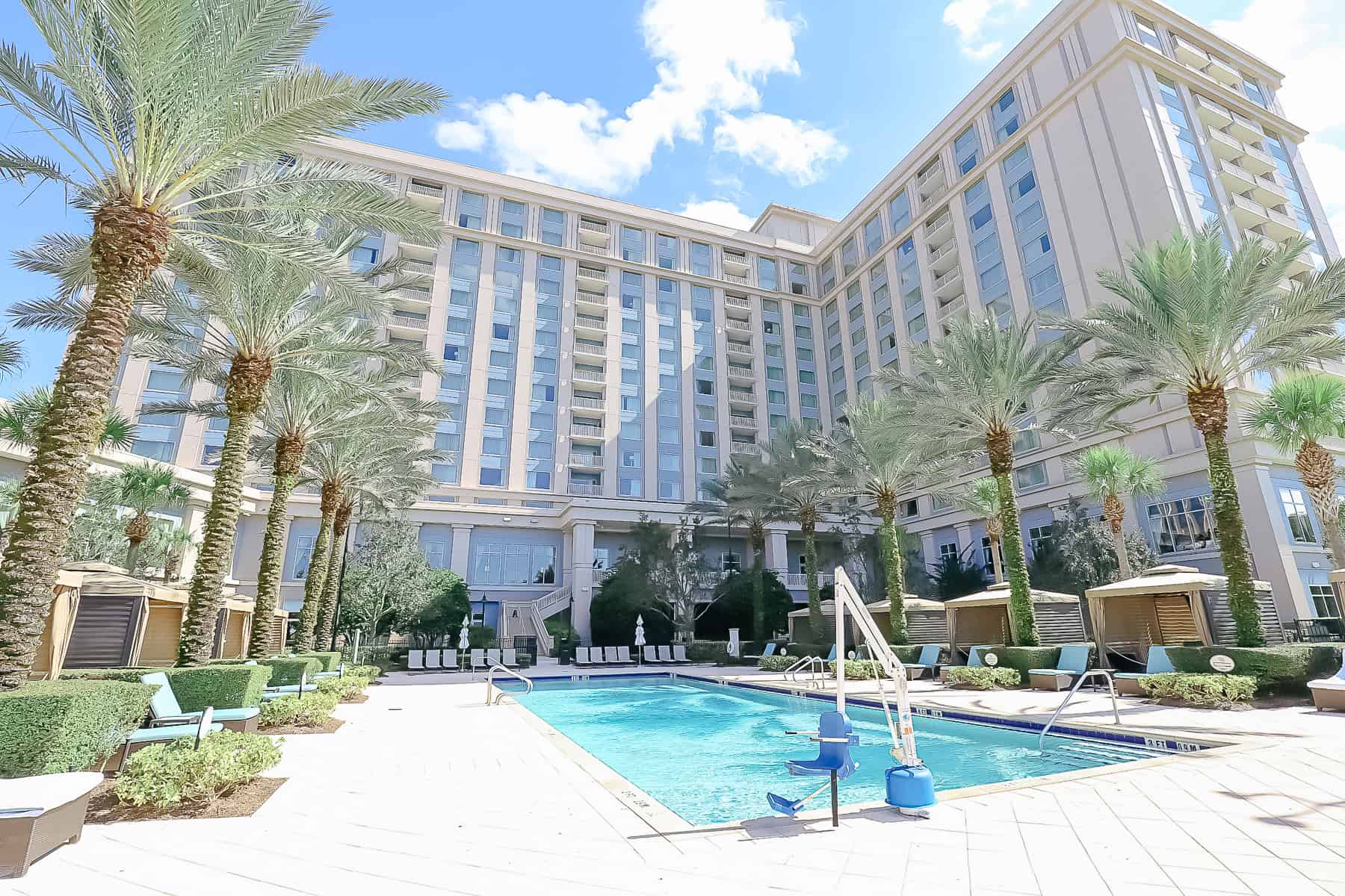 palm trees surrounding the hotel pool